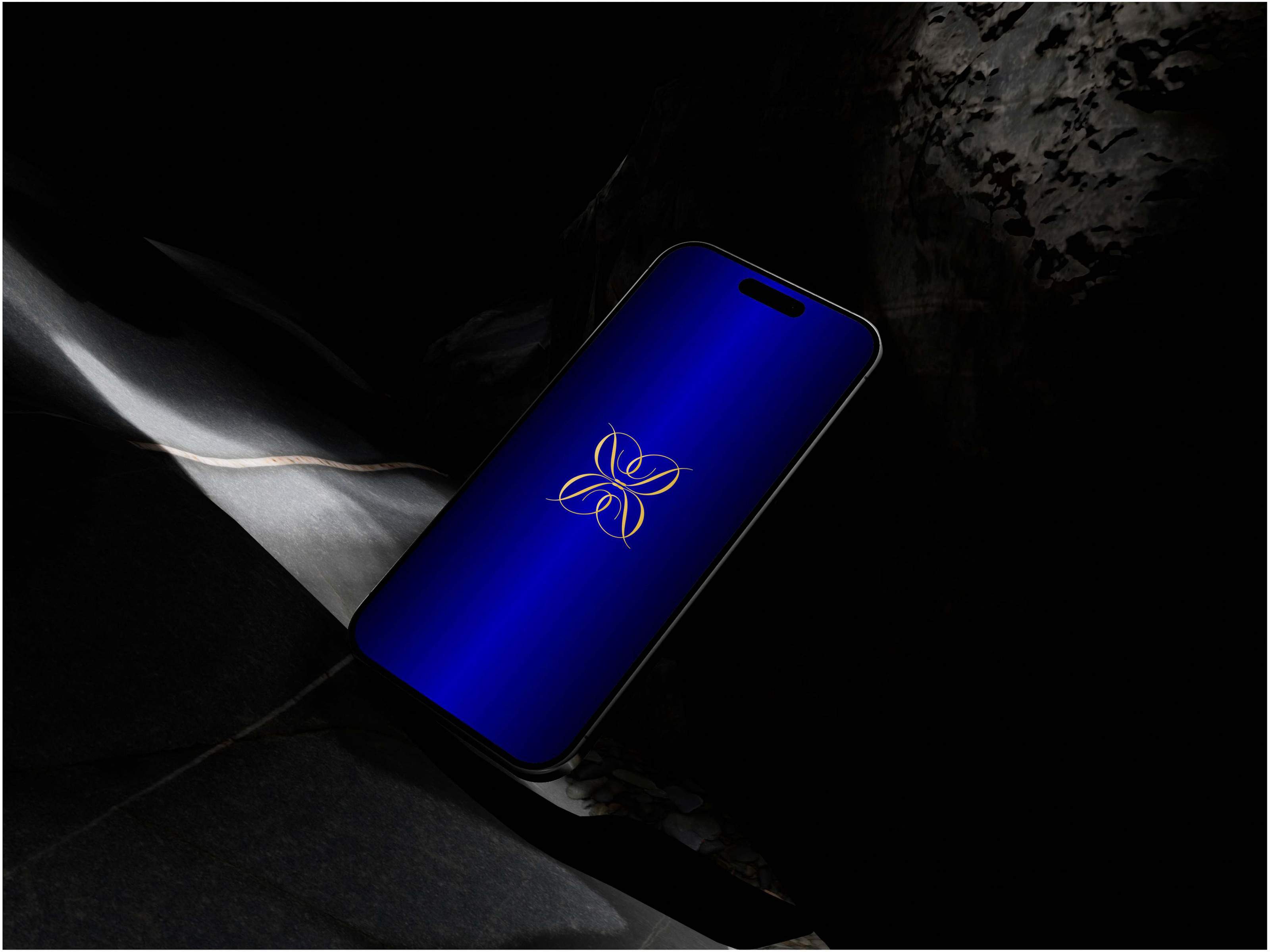 DELLIGHT BRAND IDENTITY — Изображение №10 — Брендинг на Dprofile