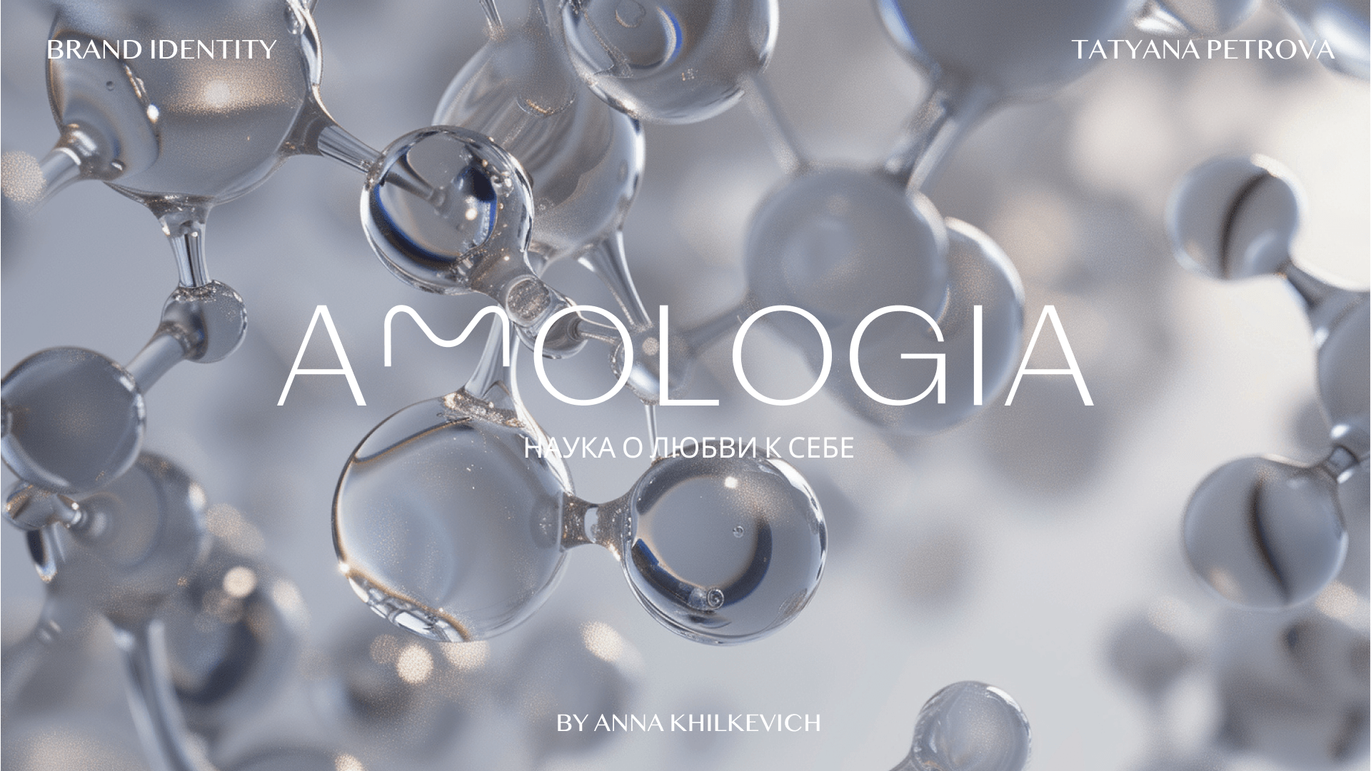 Amologia Brand Identity — Изображение №1 — Брендинг на Dprofile