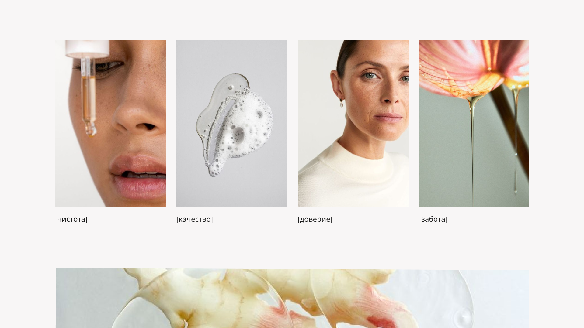 Amologia Brand Identity — Изображение №2 — Брендинг на Dprofile
