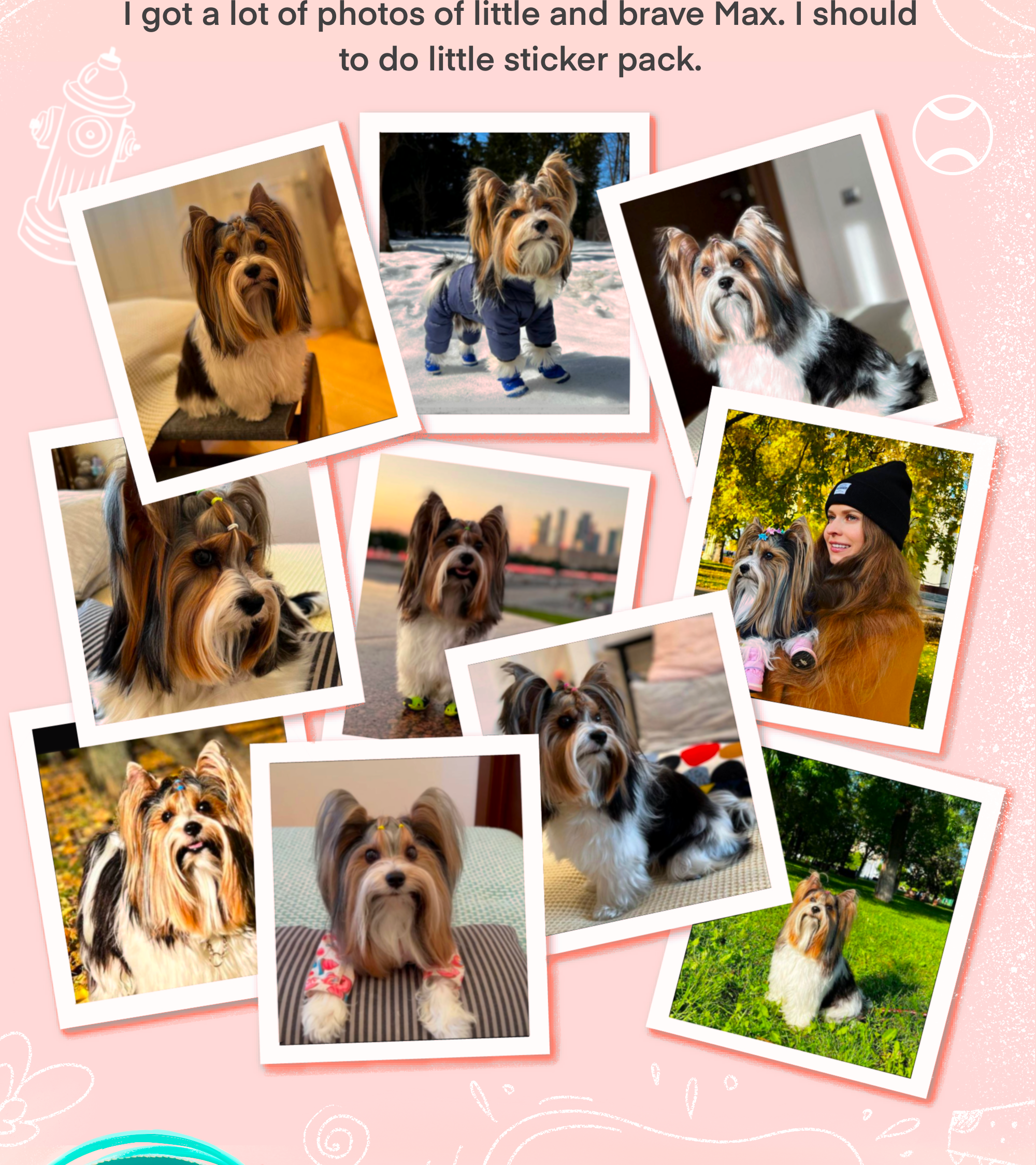 sticker pack "beaver Max" — Изображение №2 — Иллюстрация на Dprofile
