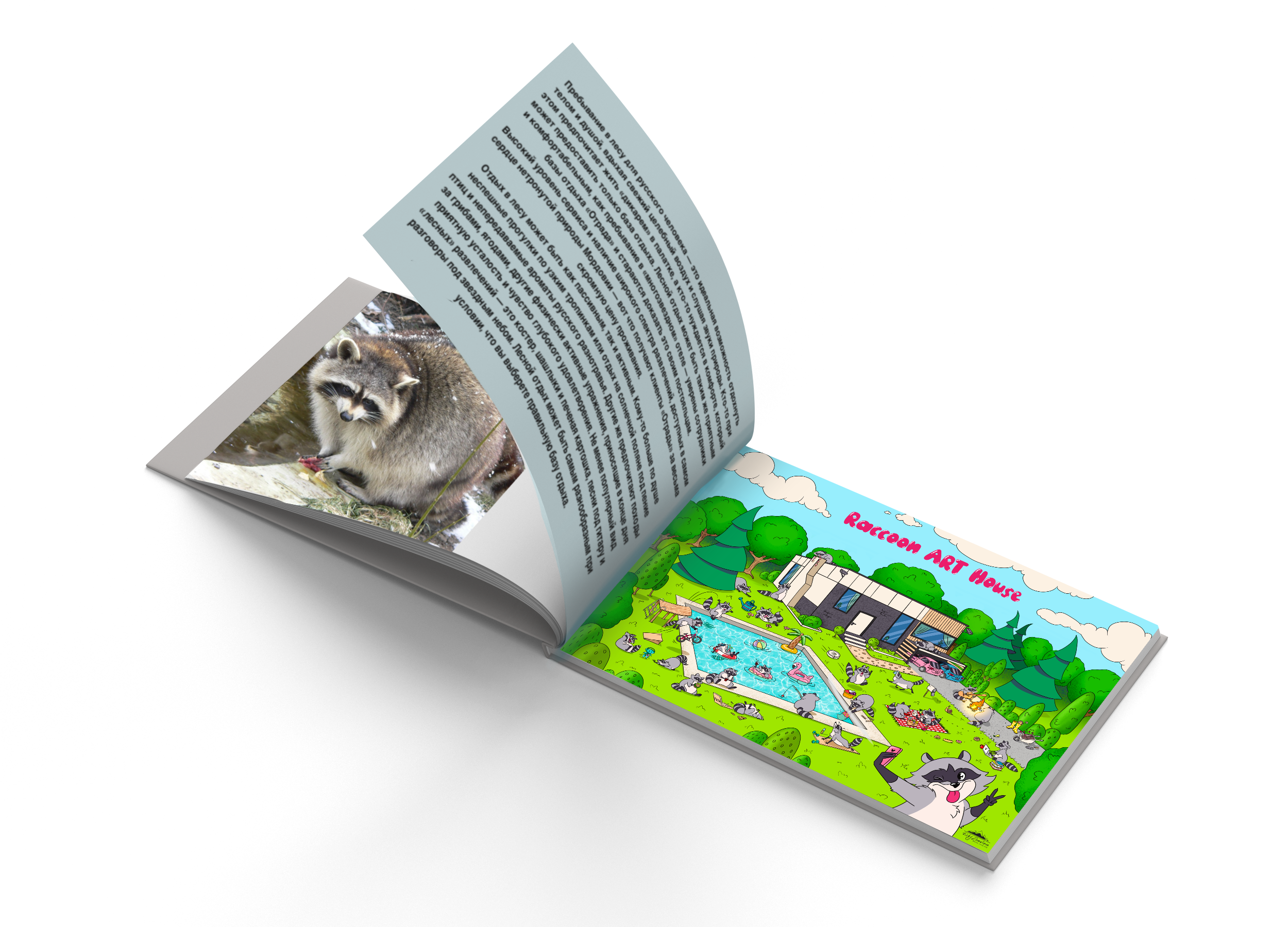 Raccoon ART House — Изображение №20 — Иллюстрация на Dprofile