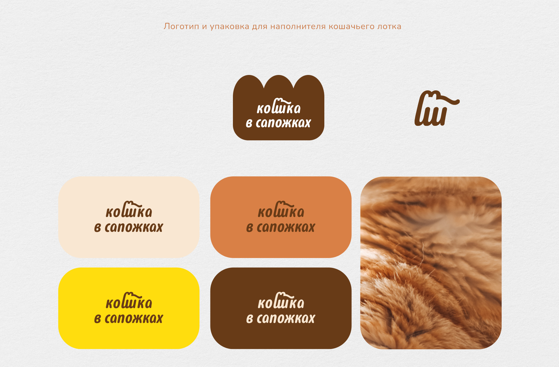 Кошка в сапожках — Изображение №1 — Брендинг, Иллюстрация на Dprofile