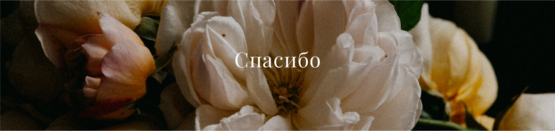 Цветочный магазин Brand Identity — Изображение №6 — Брендинг на Dprofile