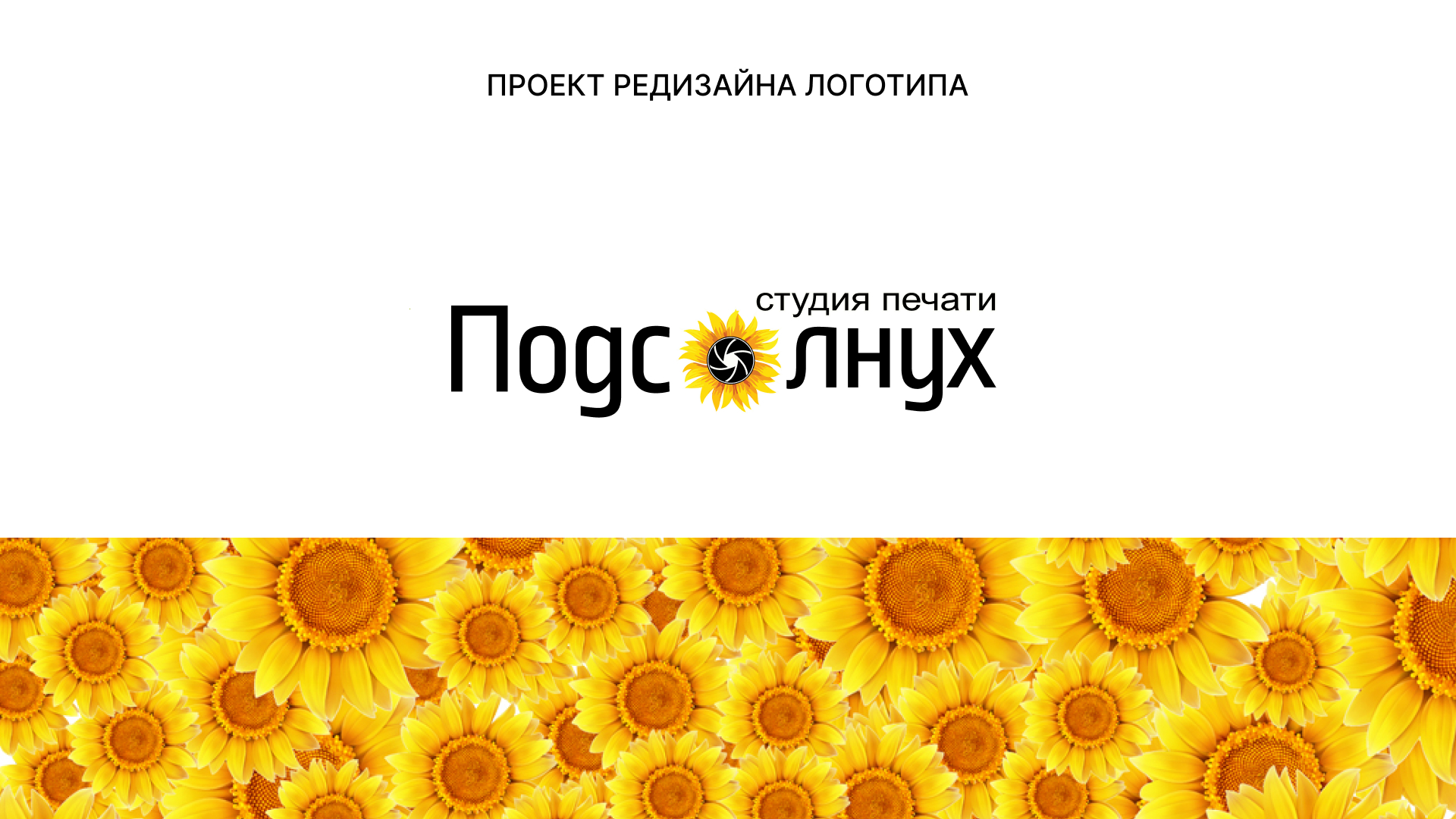 Sunprint Brand Identity — Изображение №1 — Брендинг на Dprofile