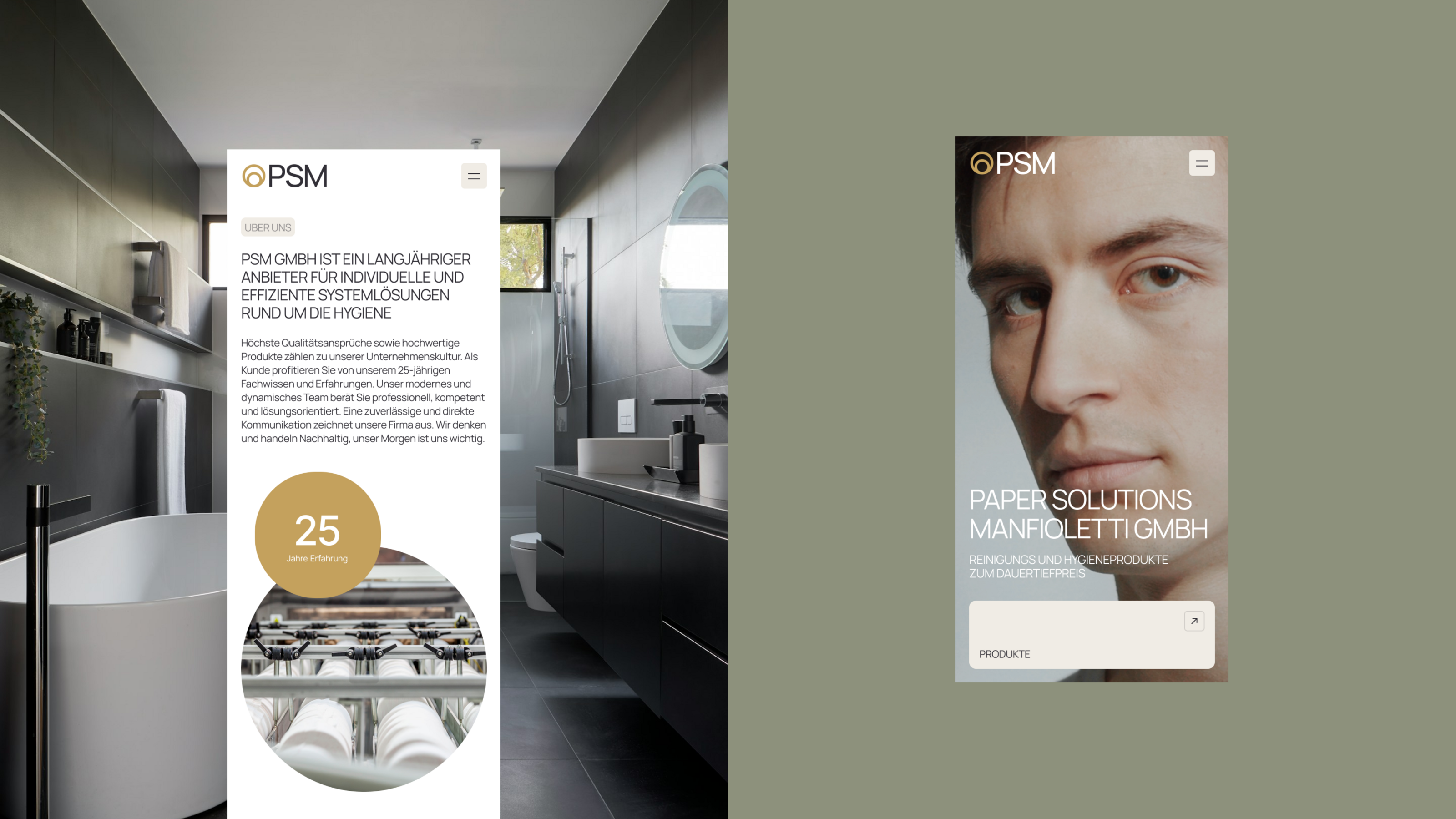 Paper Solutions Manfioletti GMBH | identity & Website — Изображение №5 — Интерфейсы, Брендинг на Dprofile