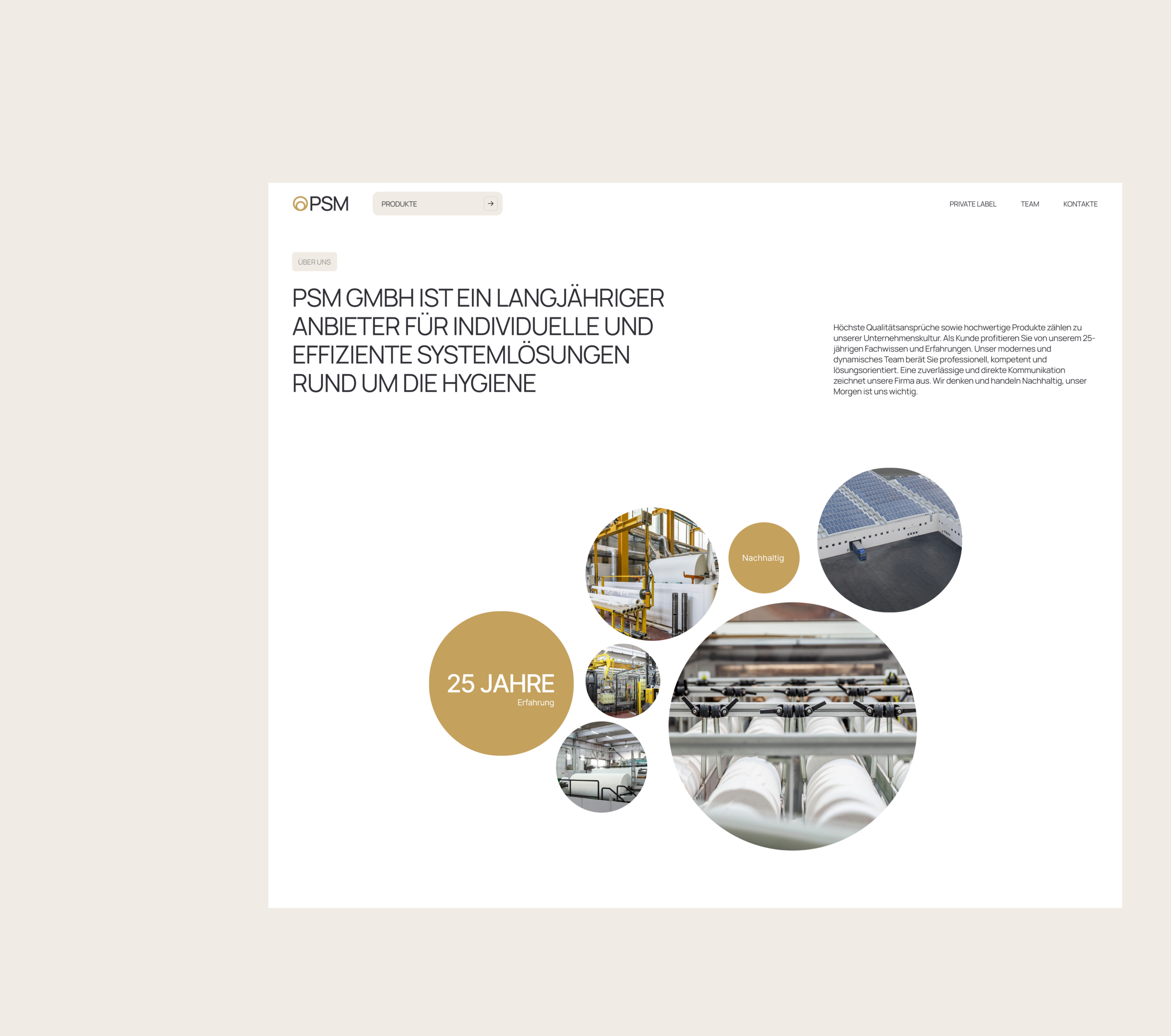 Paper Solutions Manfioletti GMBH | identity & Website — Изображение №6 — Интерфейсы, Брендинг на Dprofile
