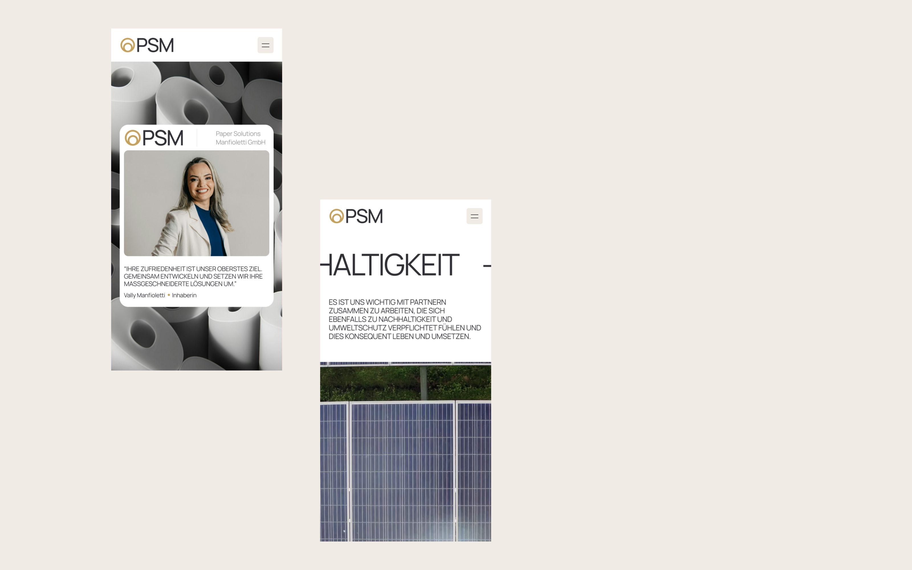 Paper Solutions Manfioletti GMBH | identity & Website — Изображение №7 — Интерфейсы, Брендинг на Dprofile