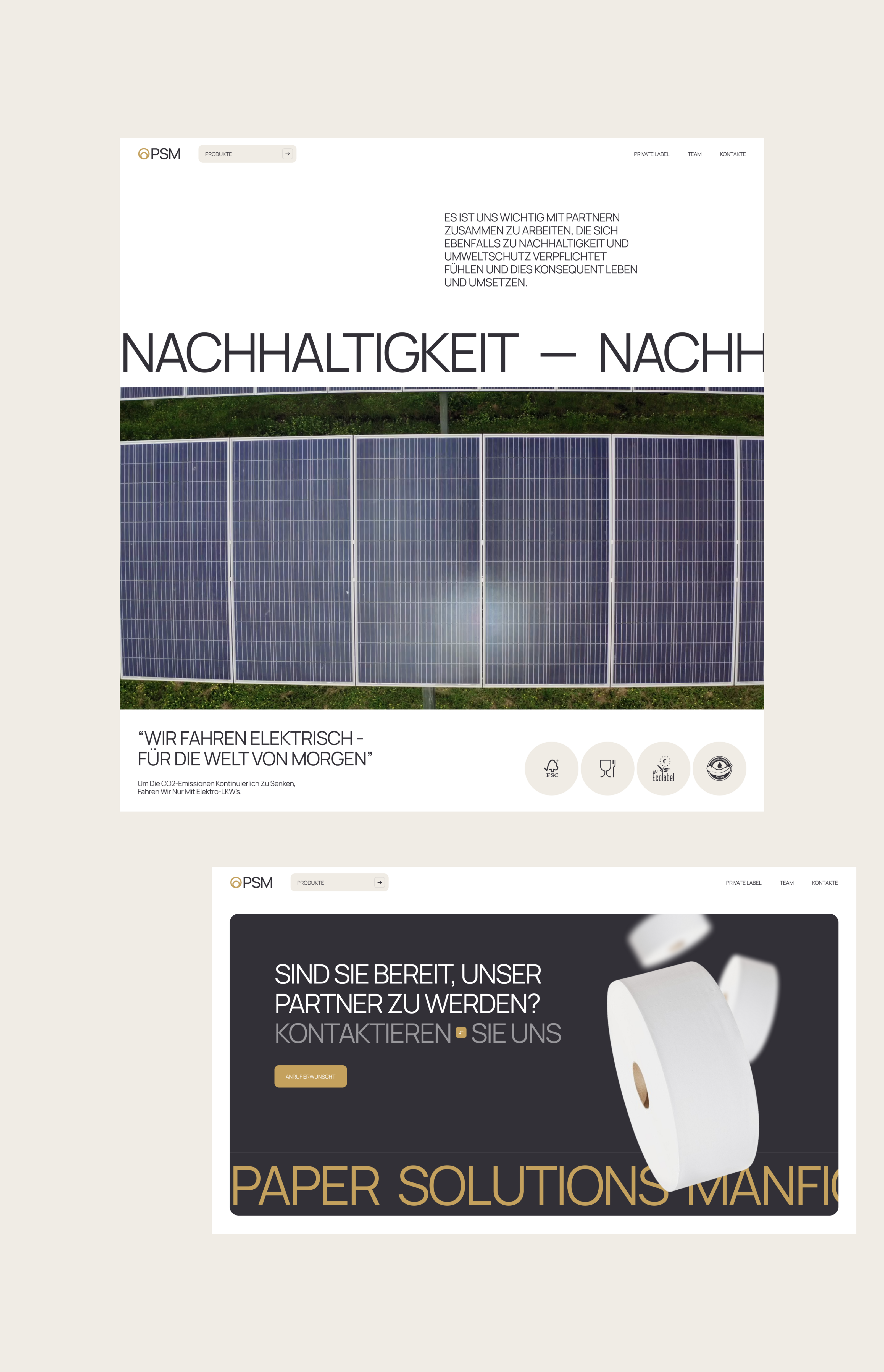 Paper Solutions Manfioletti GMBH | identity & Website — Изображение №10 — Интерфейсы, Брендинг на Dprofile