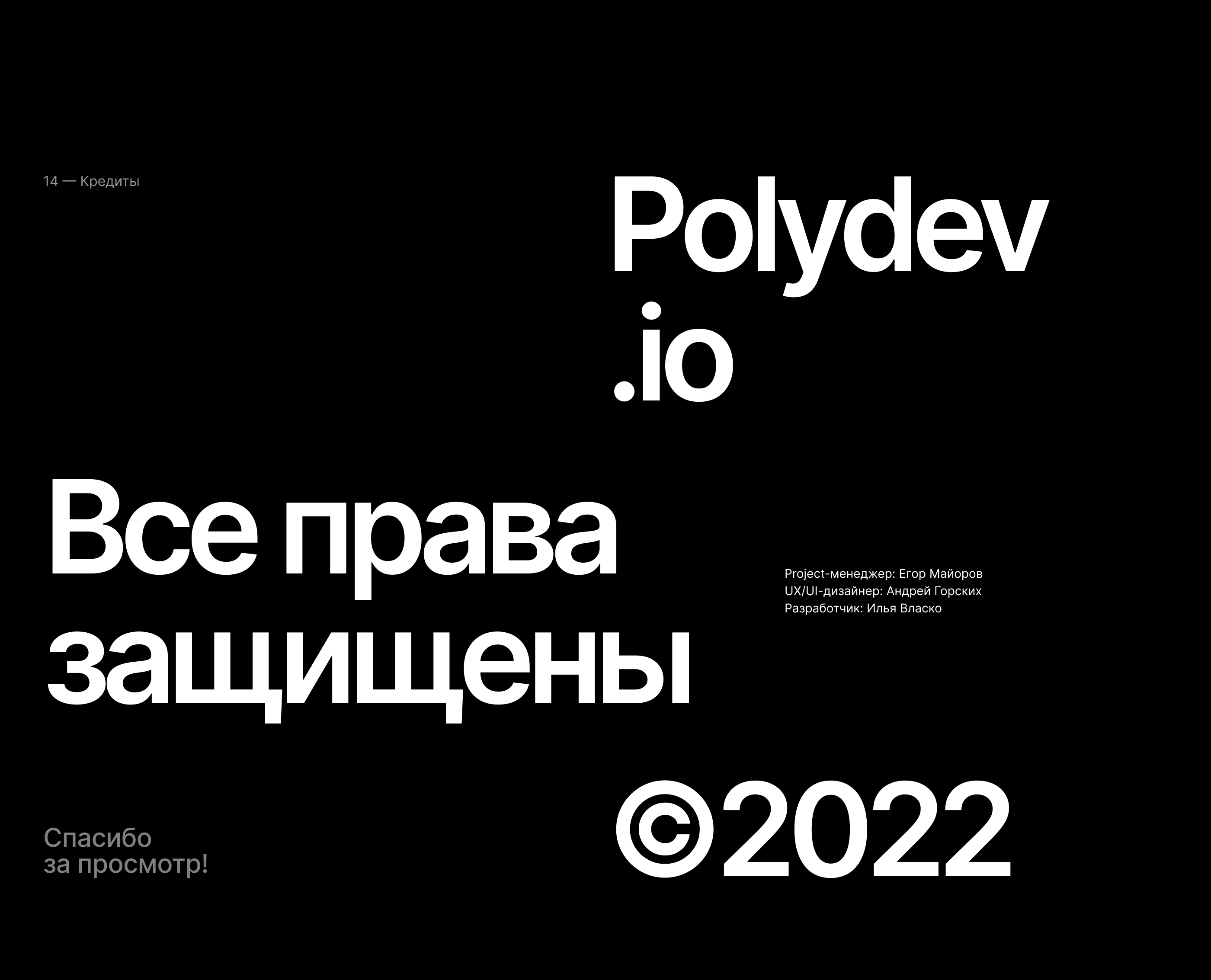 Polydev.io | Сайт digital-агентства — Изображение №11 — Интерфейсы на Dprofile