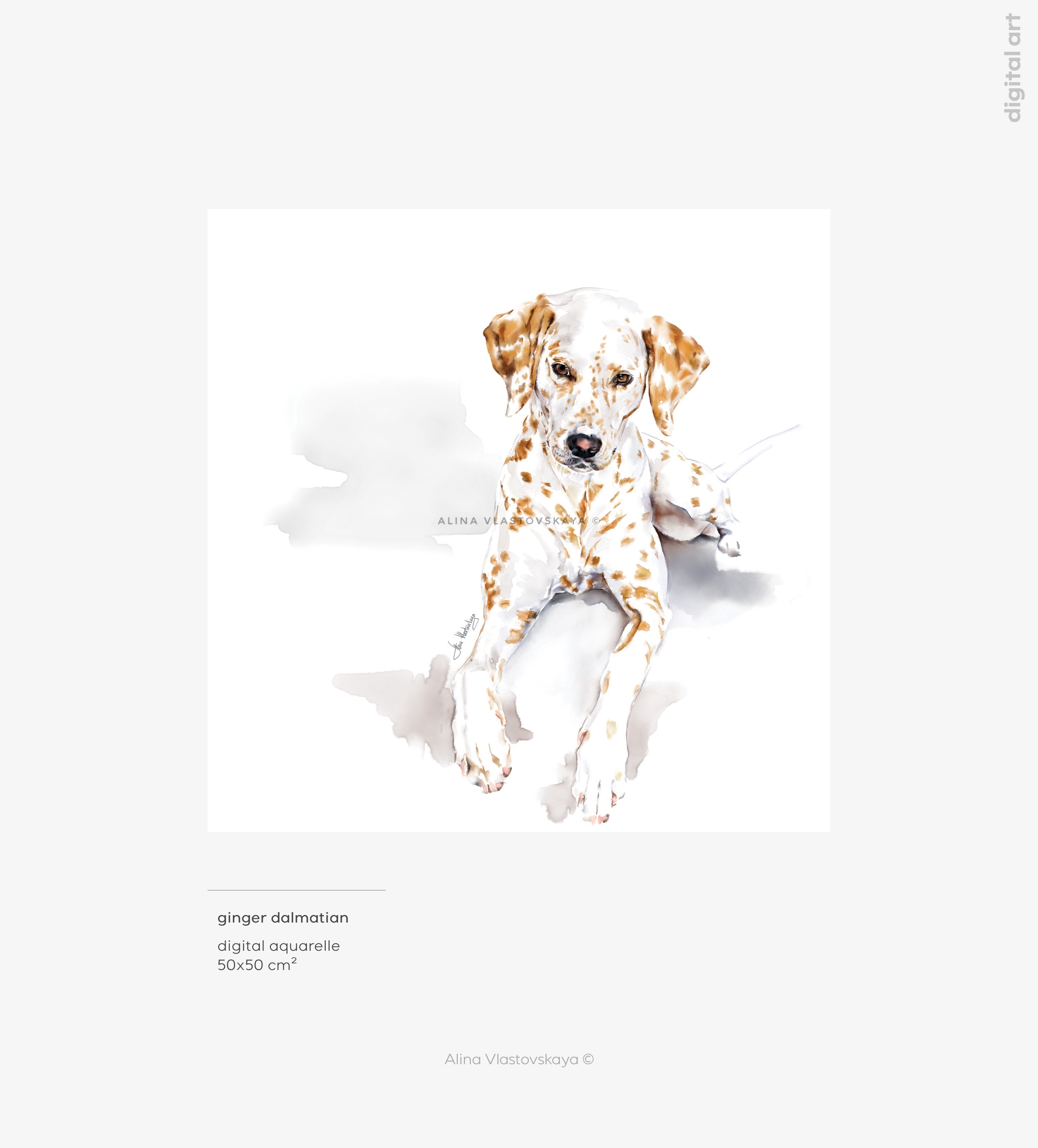 ginger dalmatian — Изображение №1 — Иллюстрация на Dprofile