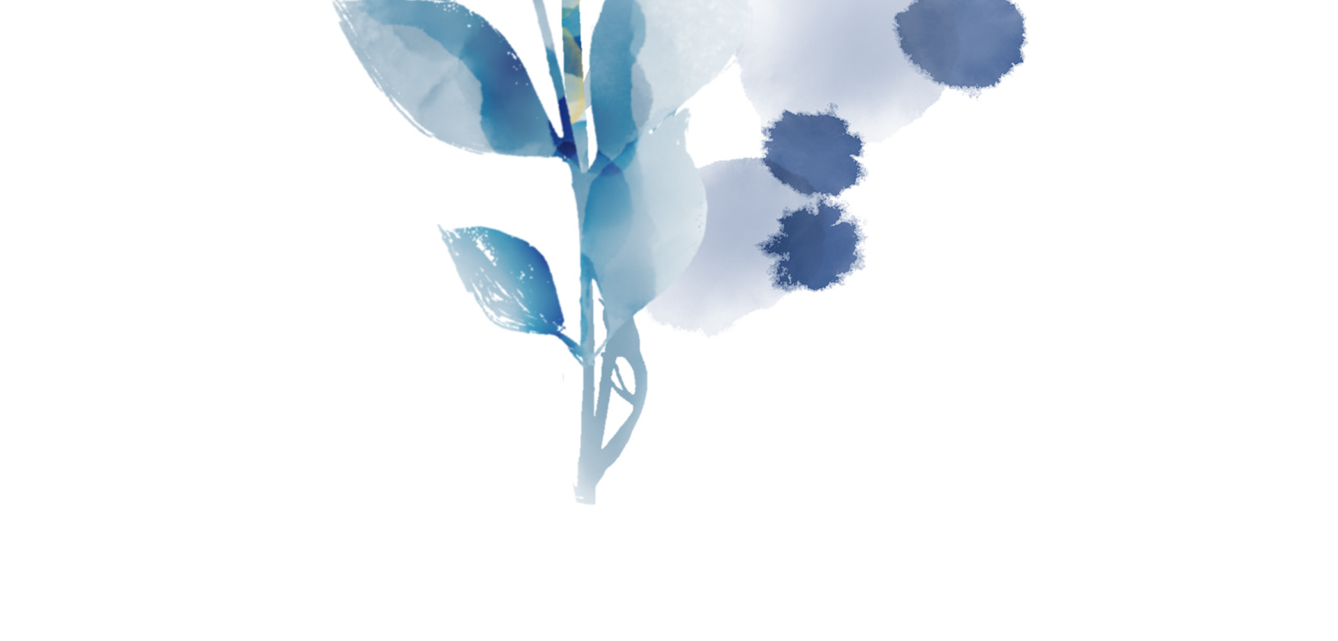 floral pattern — Изображение №8 — Иллюстрация на Dprofile