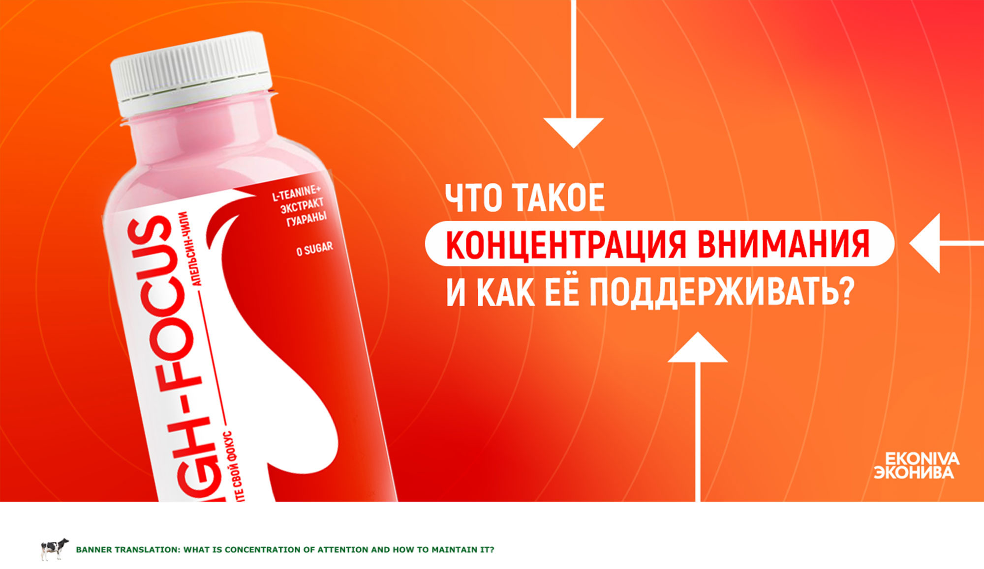 HIGH-FOCUS BY EKONIVA || УПАКОВКА || PACKAGING — Изображение №11 — Брендинг, Графика на Dprofile