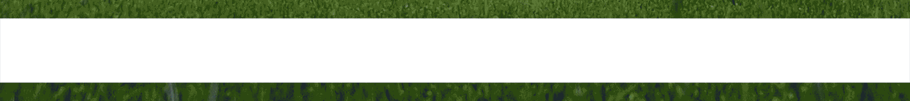 ВЭБ.РФ х ЦСКА - Анимация на медиаэкраны стадиона — Изображение №3 — Графика, Анимация на Dprofile