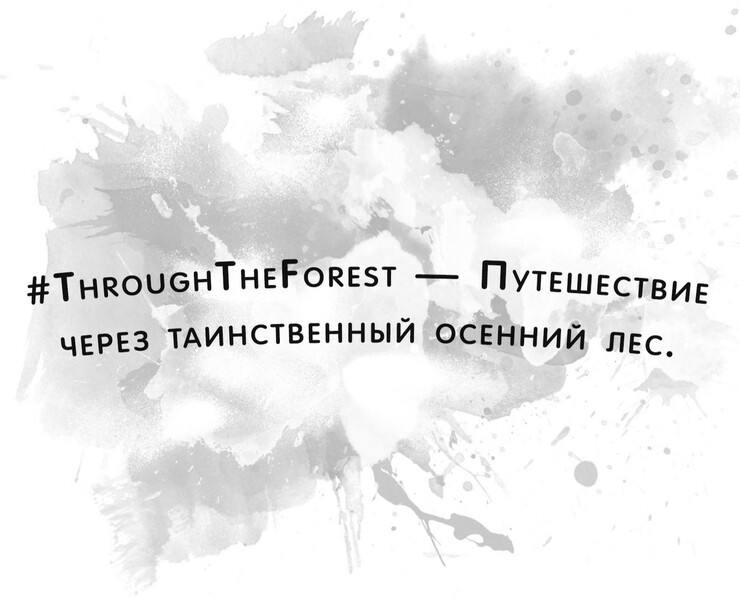 Путешествие через таинственный осенний лес — Иллюстрация, Графика на Dprofile