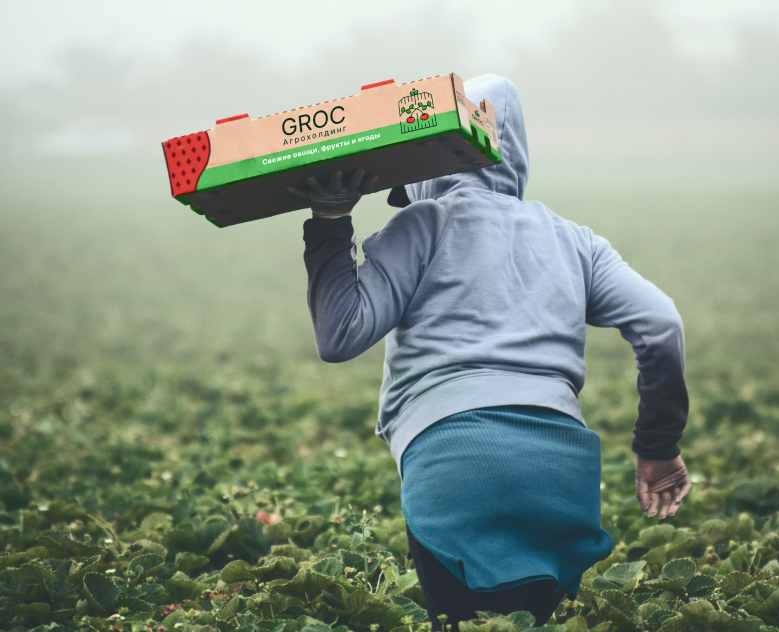 Groc — агрохолдинг (логотип, фирменный стиль, этикетки) — Брендинг на Dprofile