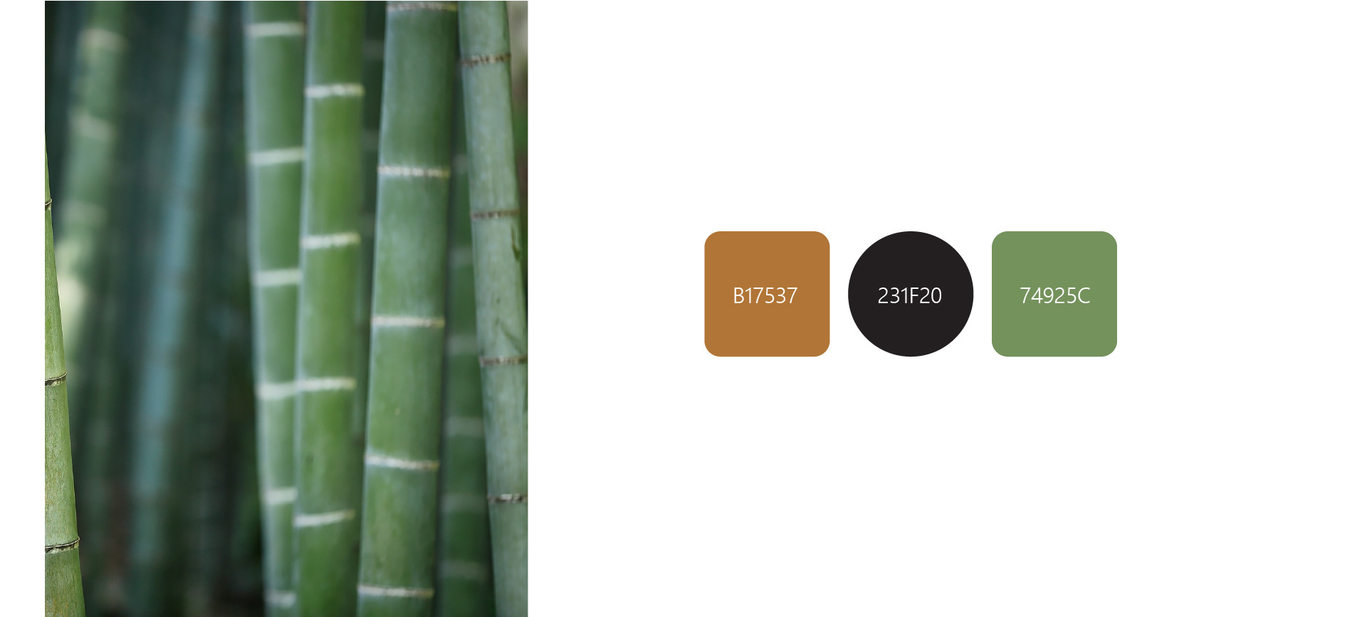 Хого. Логотип магазина китайских продуктов. — Изображение №5 — Брендинг, Графика на Dprofile