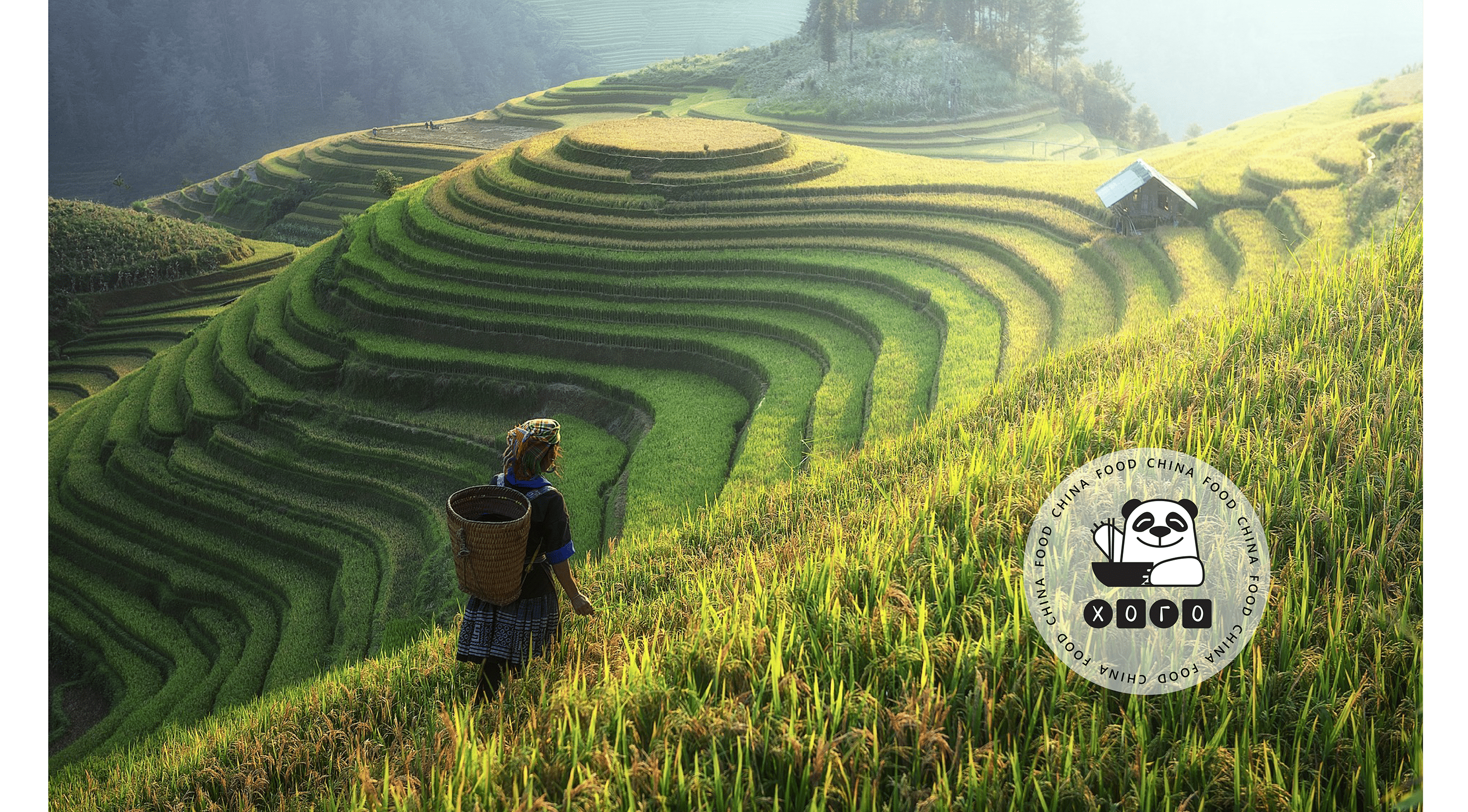 Хого. Логотип магазина китайских продуктов. — Изображение №15 — Брендинг, Графика на Dprofile