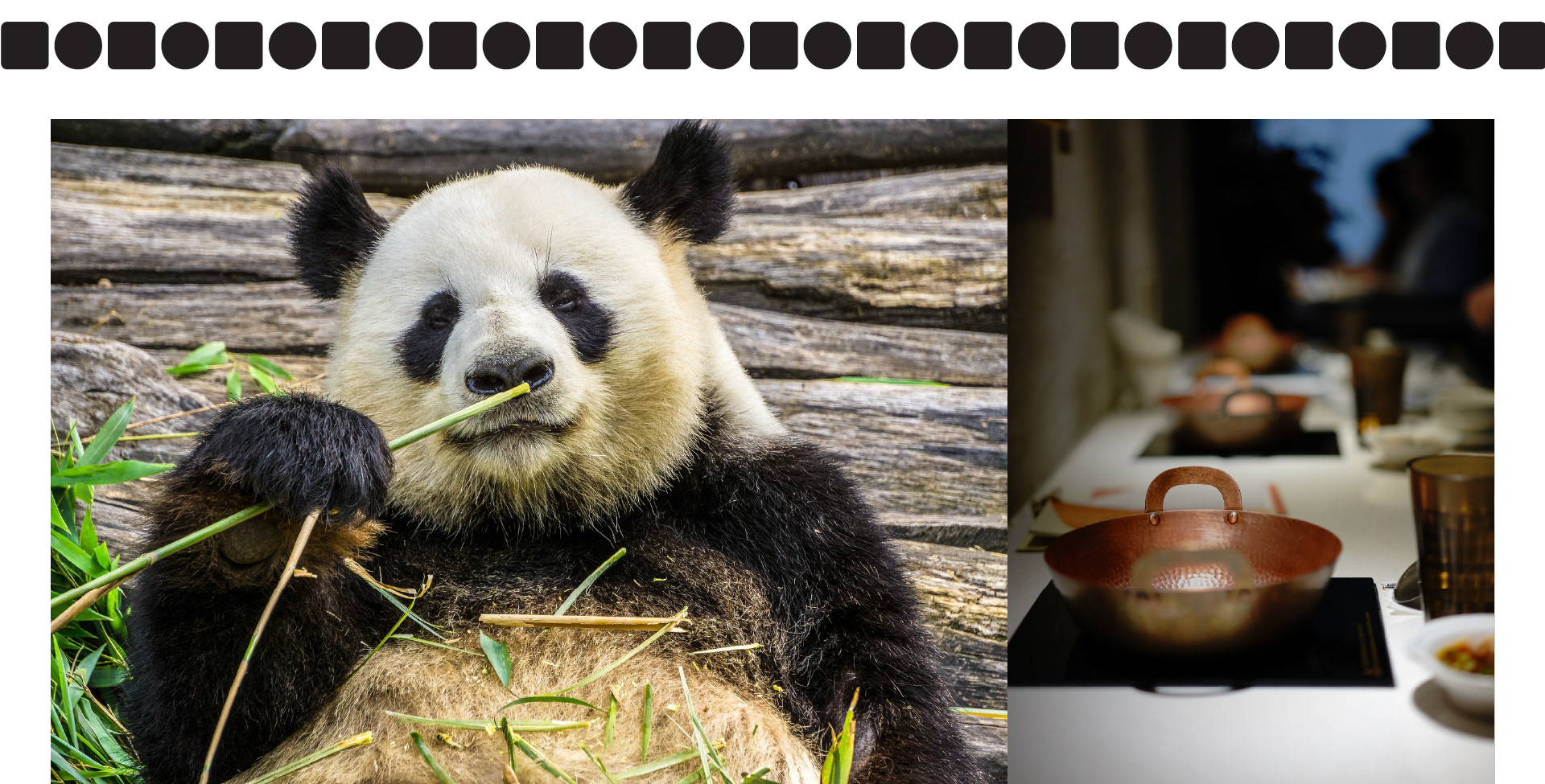 Хого. Логотип магазина китайских продуктов. — Изображение №2 — Брендинг, Графика на Dprofile