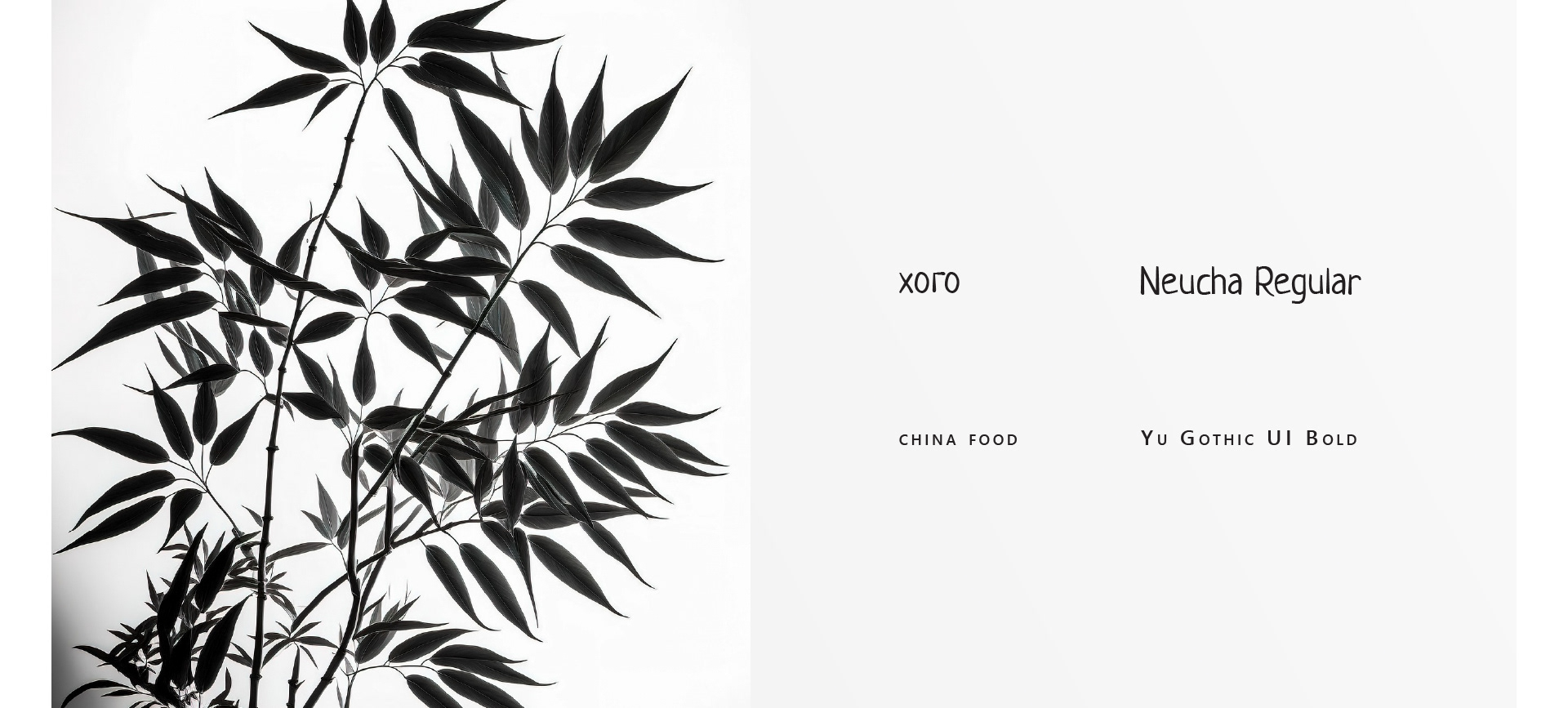 Хого. Логотип магазина китайских продуктов. — Изображение №7 — Брендинг, Графика на Dprofile