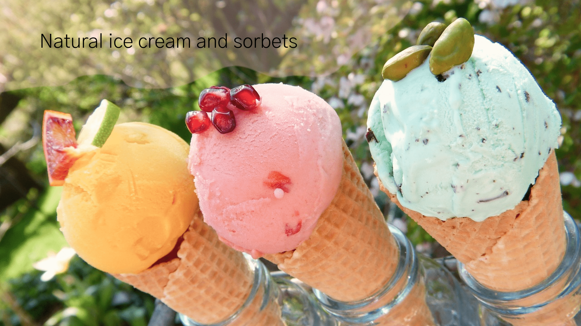 Monty. Ice cream logo and brand — Изображение №3 — Брендинг, Иллюстрация на Dprofile