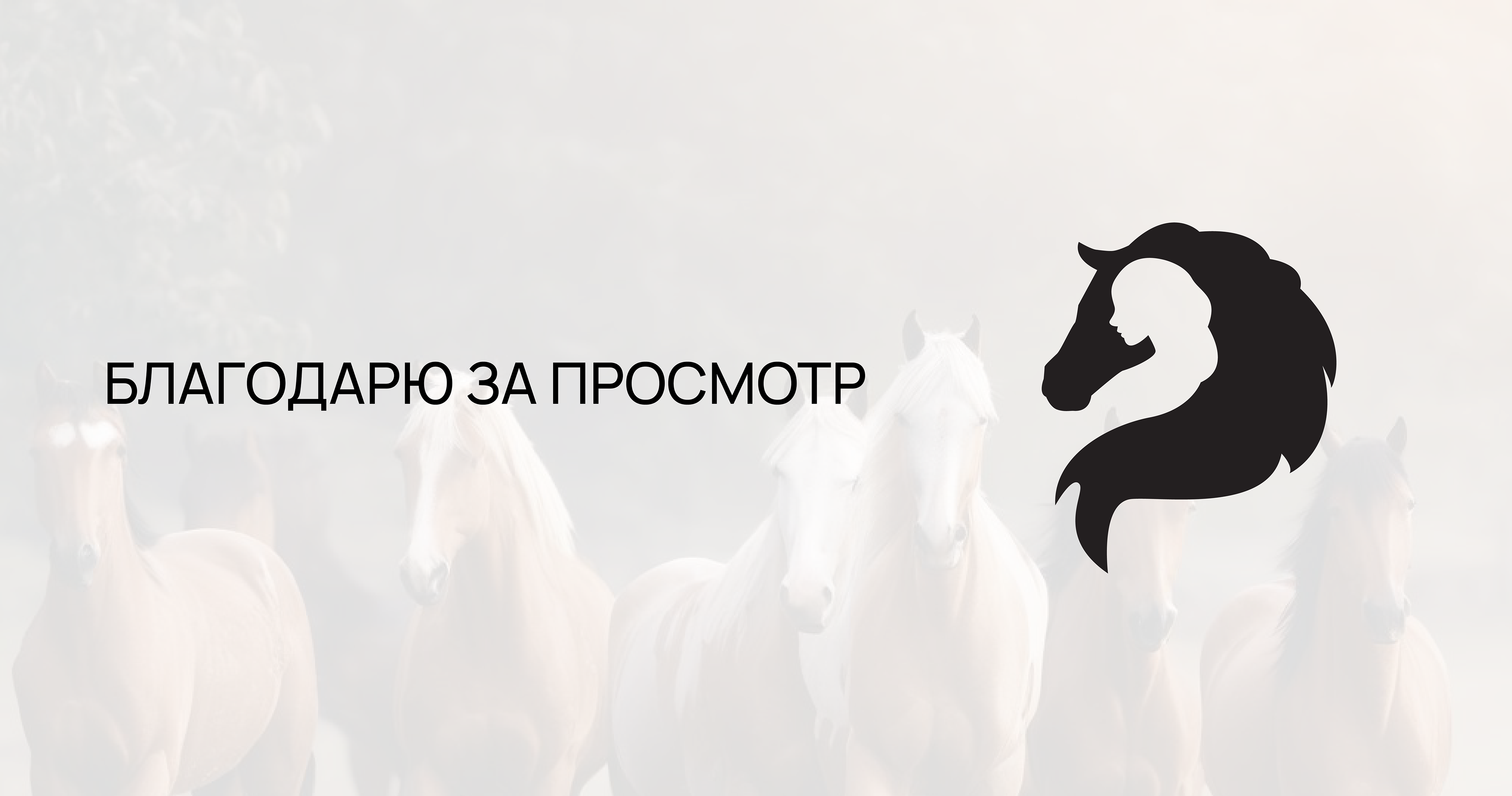 Логотип для конного массажиста — Изображение №7 — Брендинг на Dprofile
