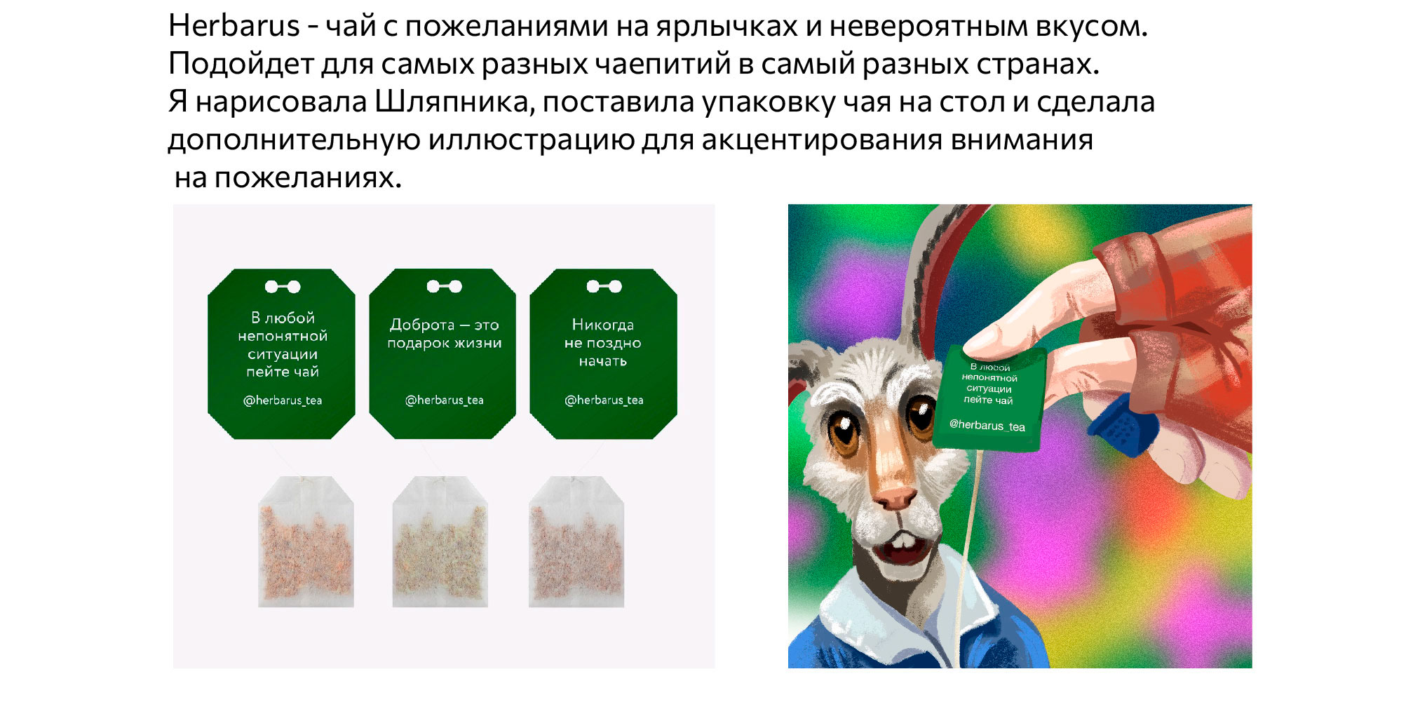 Шляпник и Herbarus 2 — Изображение №3 — Брендинг, Иллюстрация на Dprofile