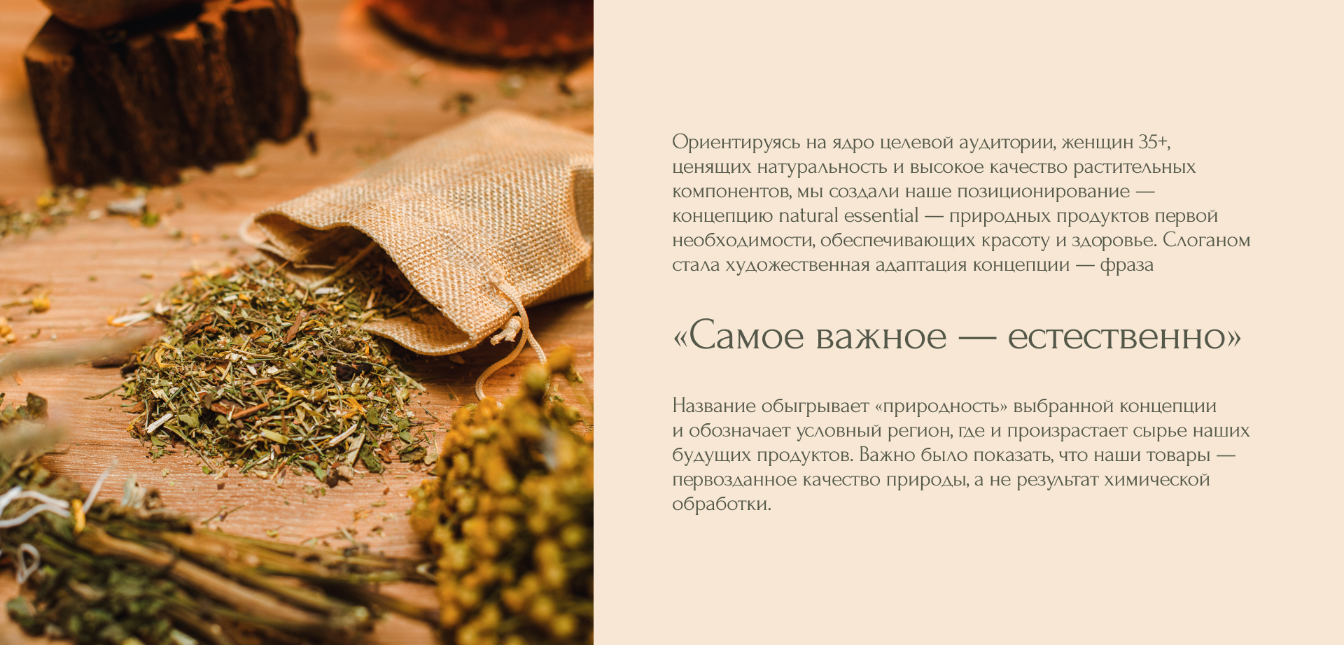 Лесогорье — Изображение №3 — Брендинг на Dprofile