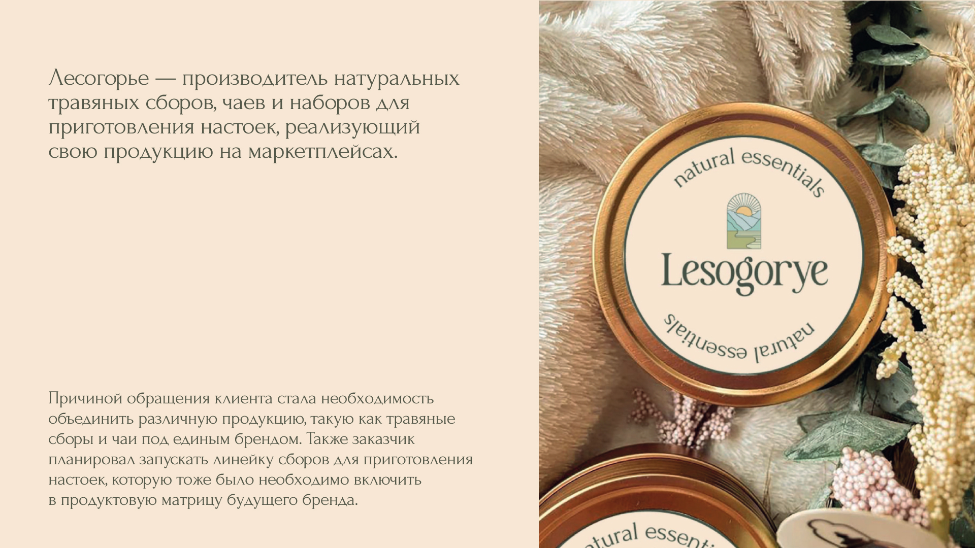 Лесогорье — Изображение №2 — Брендинг на Dprofile