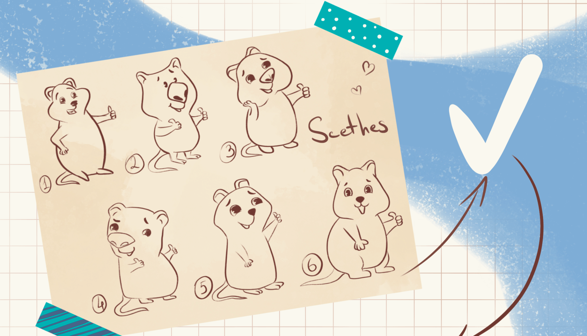 Quokka character design for brand — Изображение №2 — Брендинг, Иллюстрация на Dprofile