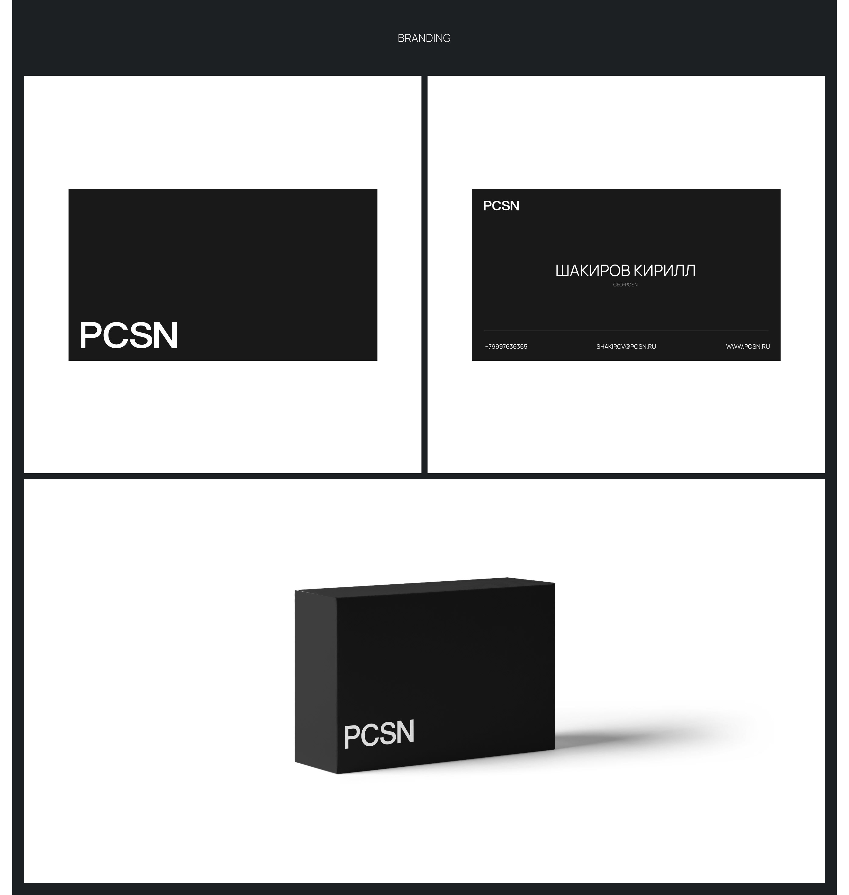 Law Firm - PCSN — Изображение №8 — Интерфейсы на Dprofile