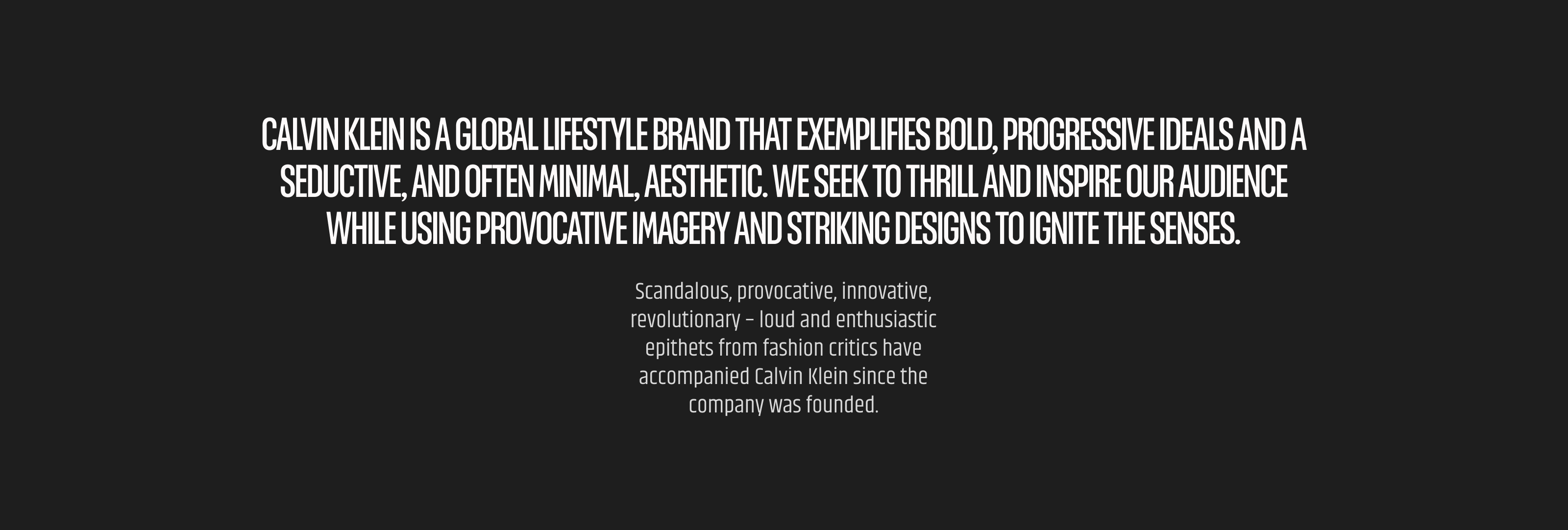 Calvin Klein Website Concept — E-commerce — Изображение №2 — Интерфейсы на Dprofile