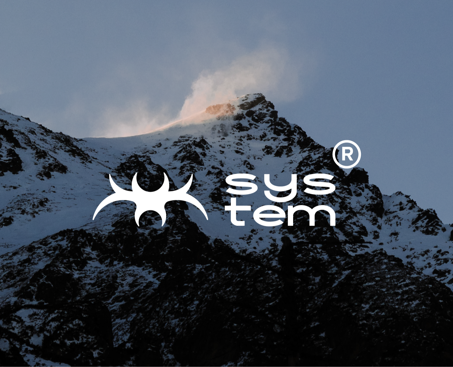 System-clothing brand — Брендинг на Dprofile