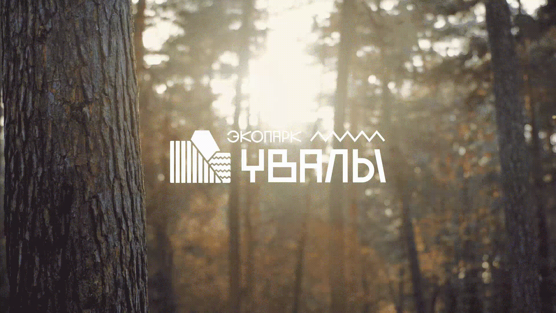 Uvaly ecopark branding — Изображение №1 — Брендинг на Dprofile