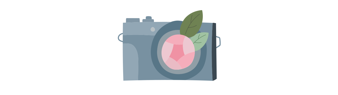 Подарочные сертификаты на фотосессию — Изображение №2 — Иллюстрация, Графика на Dprofile