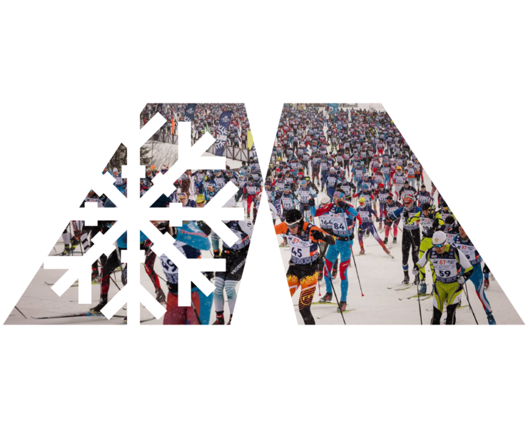 Мурманский лыжный марафон — Брендинг, Графика на Dprofile