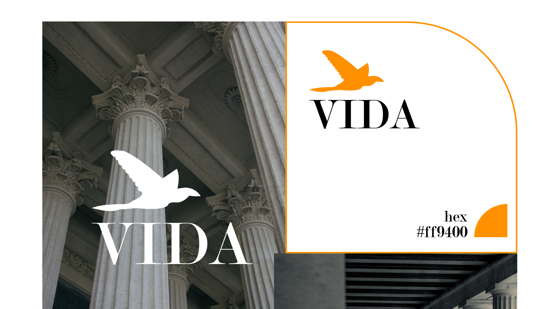 VIDA — Изображение №6 — Брендинг, Иллюстрация на Dprofile