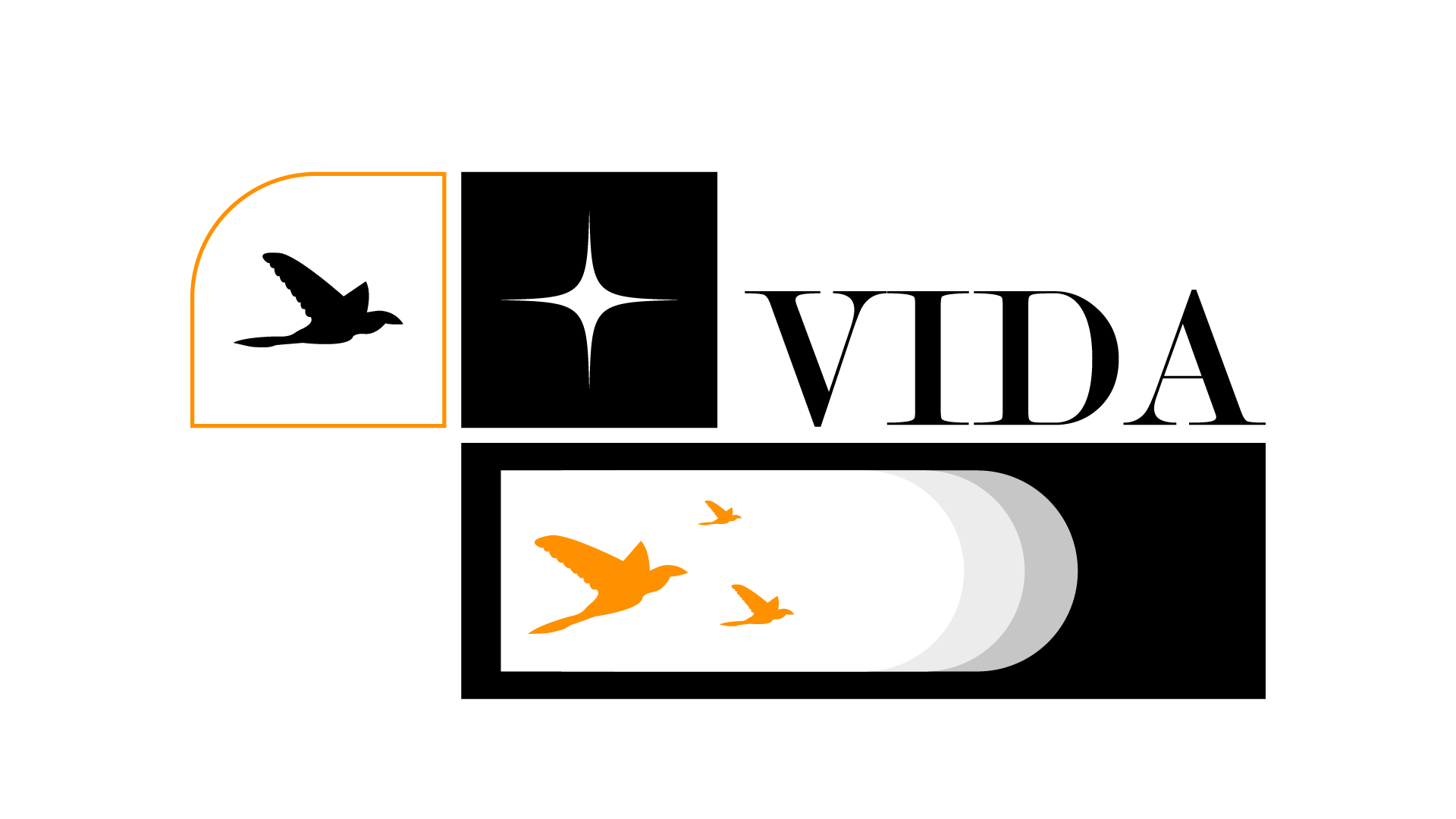 VIDA — Изображение №9 — Брендинг, Иллюстрация на Dprofile