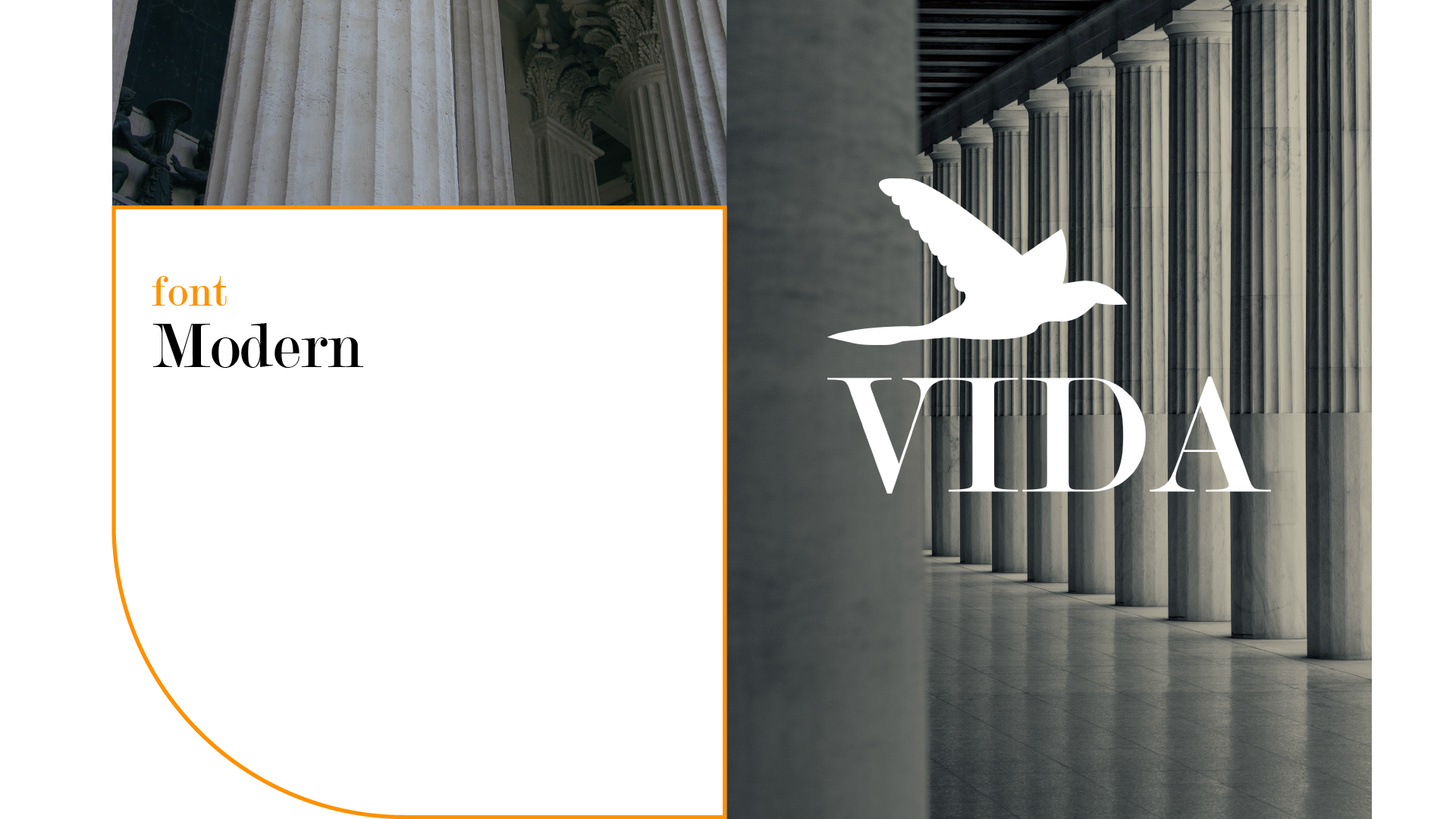 VIDA — Изображение №7 — Брендинг, Иллюстрация на Dprofile