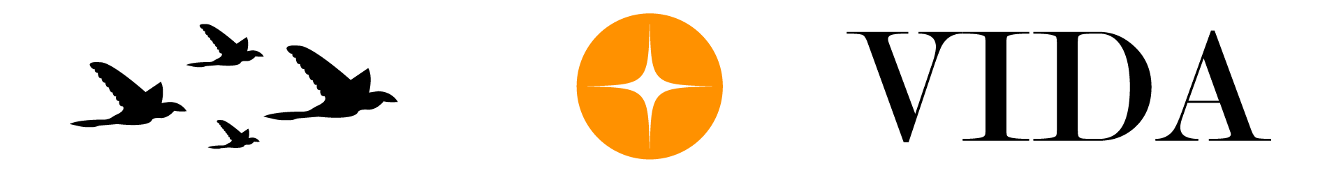 VIDA — Изображение №12 — Брендинг, Иллюстрация на Dprofile