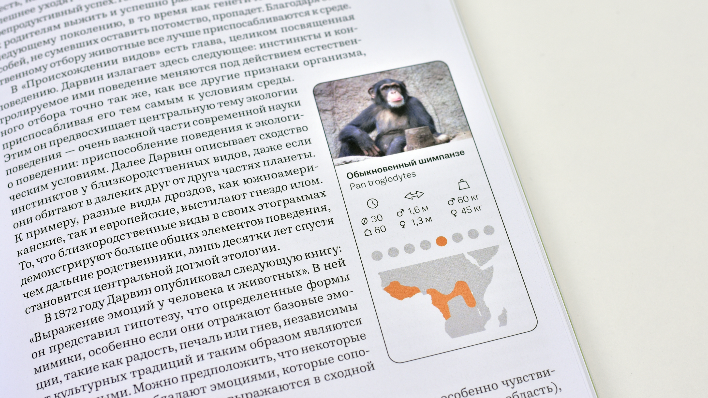 Человек в животном — Изображение №6 — Графика на Dprofile