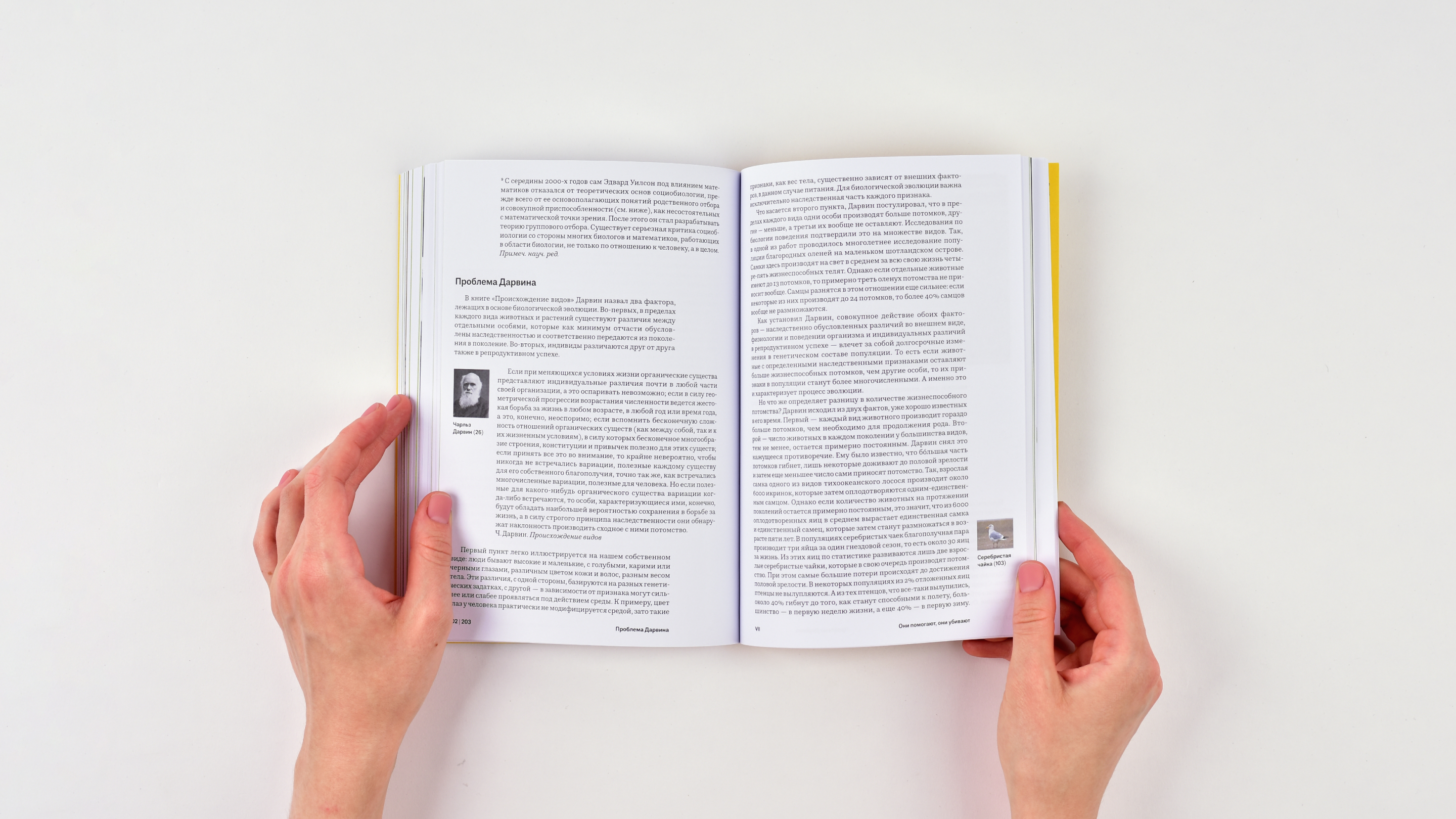 Человек в животном — Изображение №30 — Графика на Dprofile
