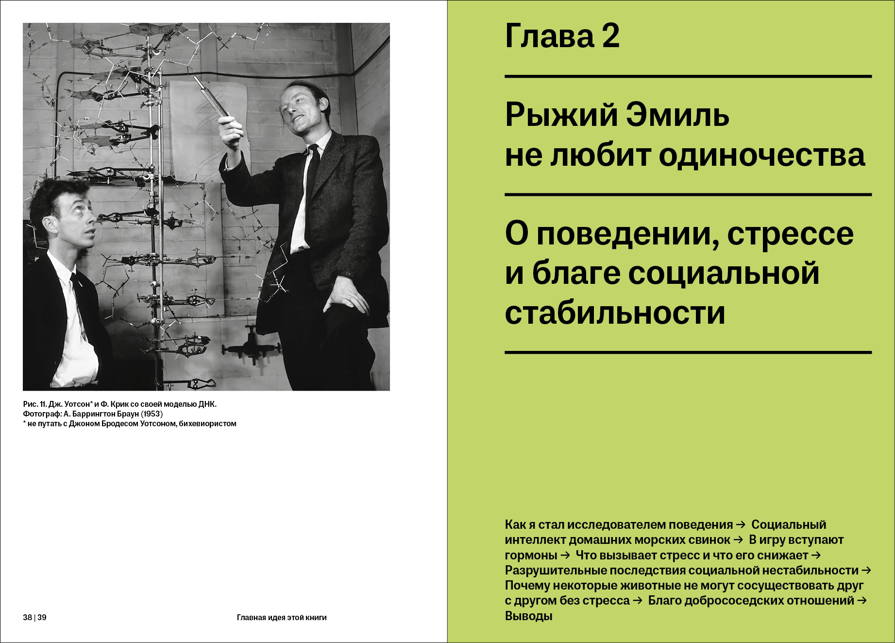 Человек в животном — Изображение №12 — Графика на Dprofile