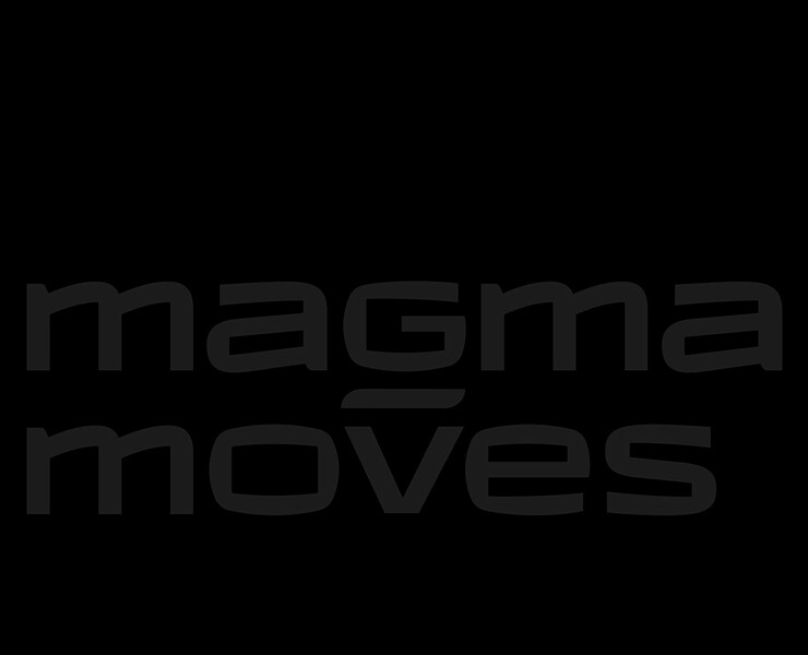 Magma moves — Брендинг на Dprofile