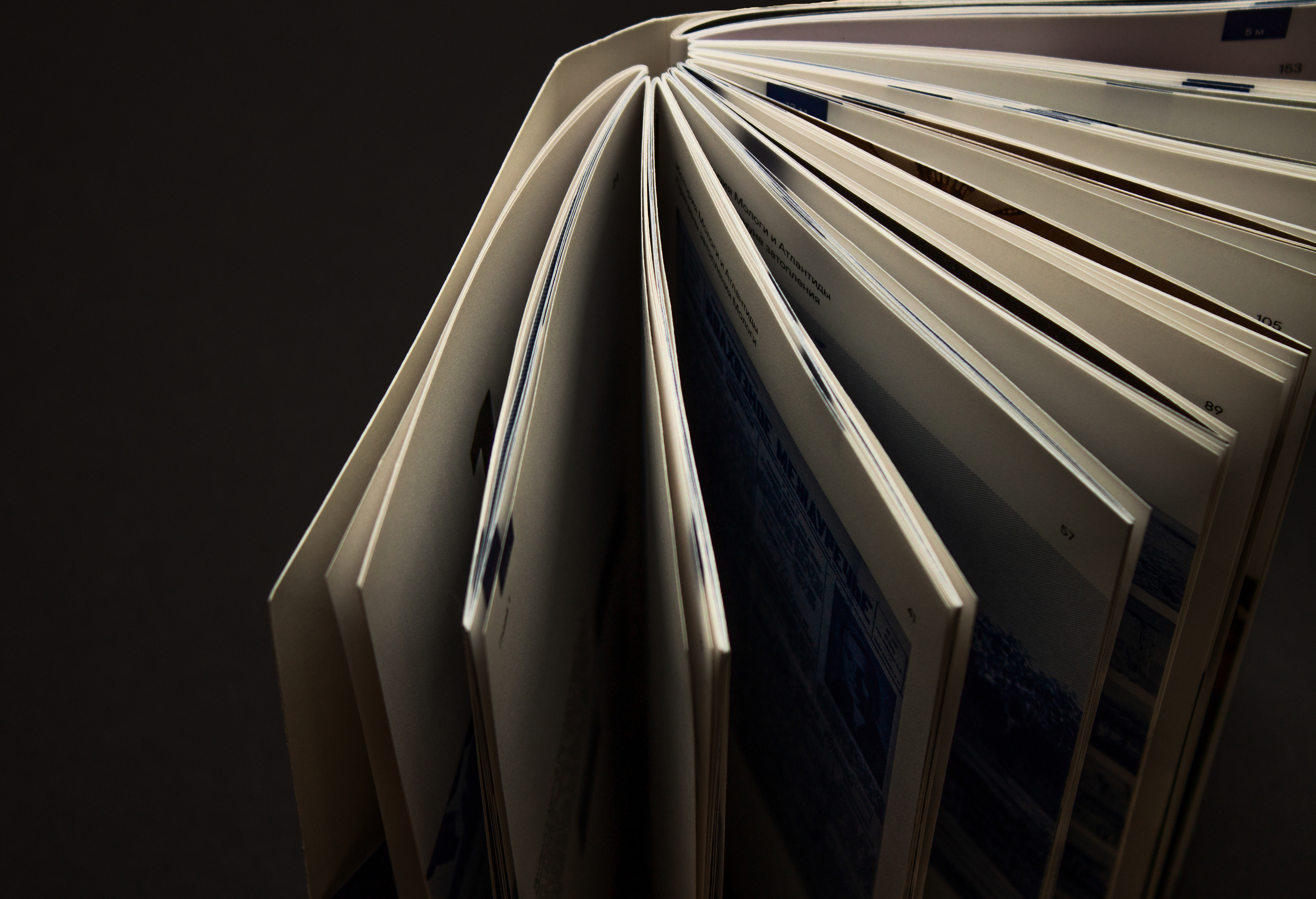 Визуальное исследование «Молога — русская Атлантида» — Изображение №15 — Графика на Dprofile