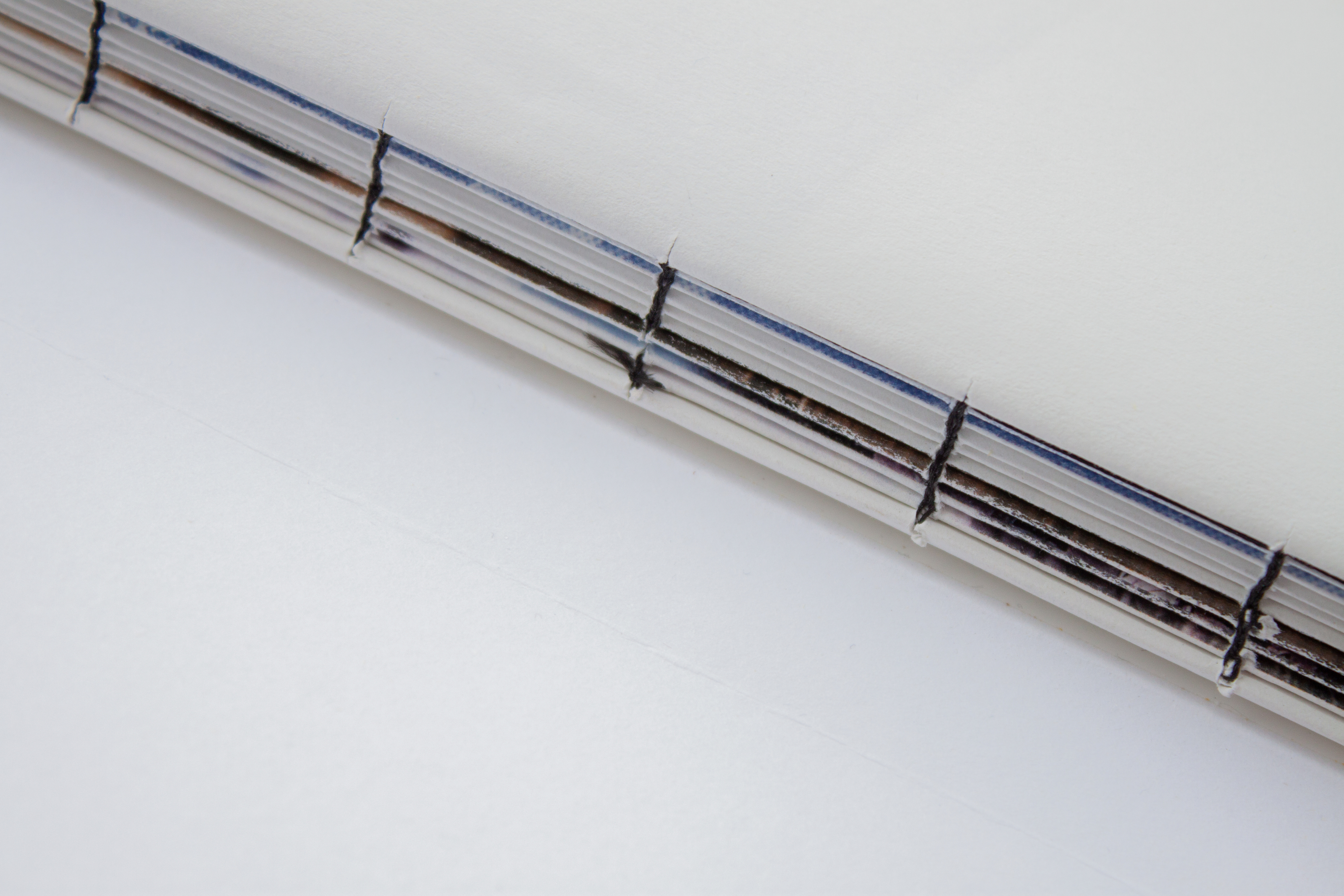 Визуальное исследование «Молога — русская Атлантида» — Изображение №16 — Графика на Dprofile