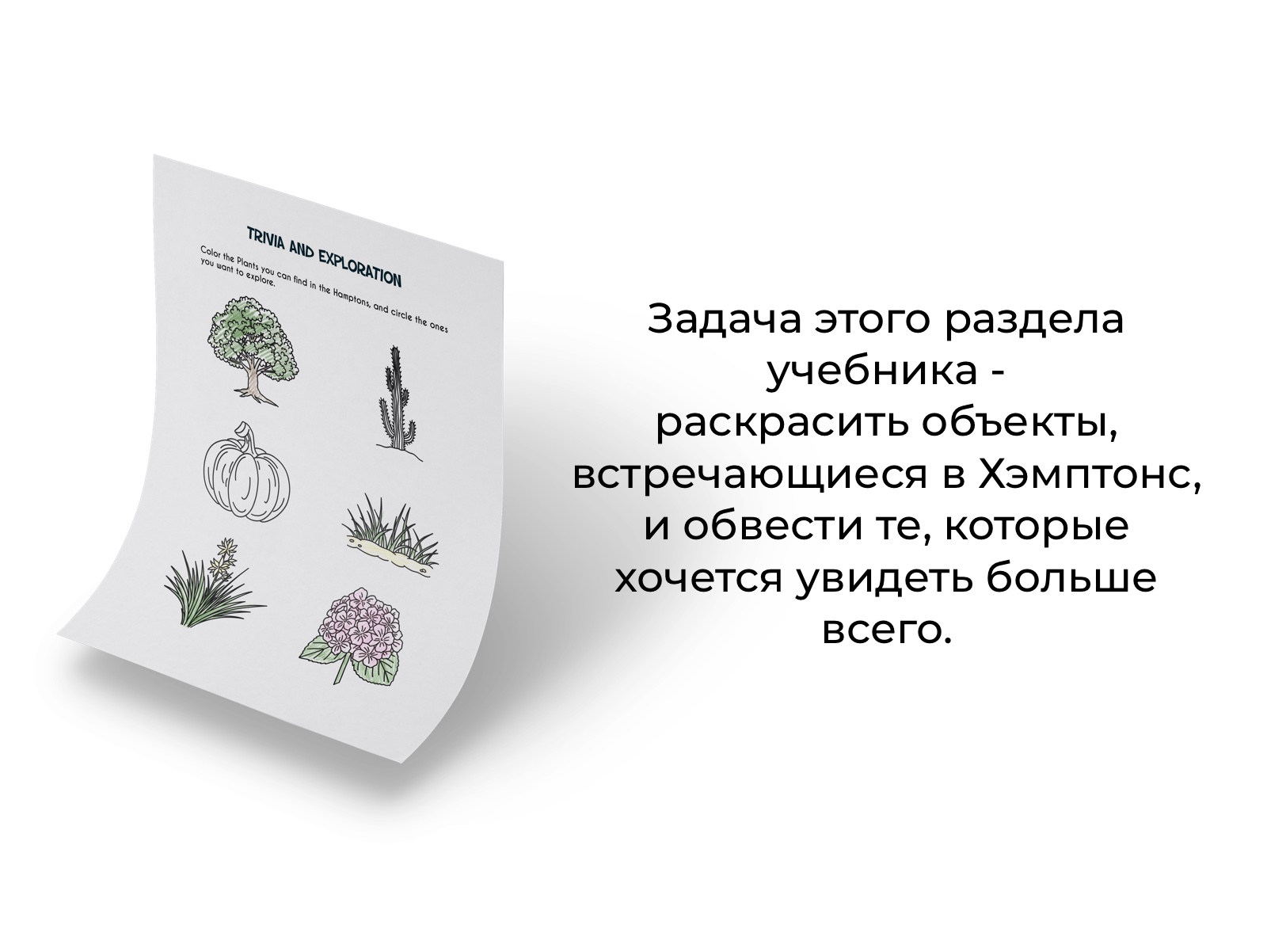 Страницы для раскрашивания. Иллюстрации для учебного пособия — Изображение №3 — Иллюстрация на Dprofile