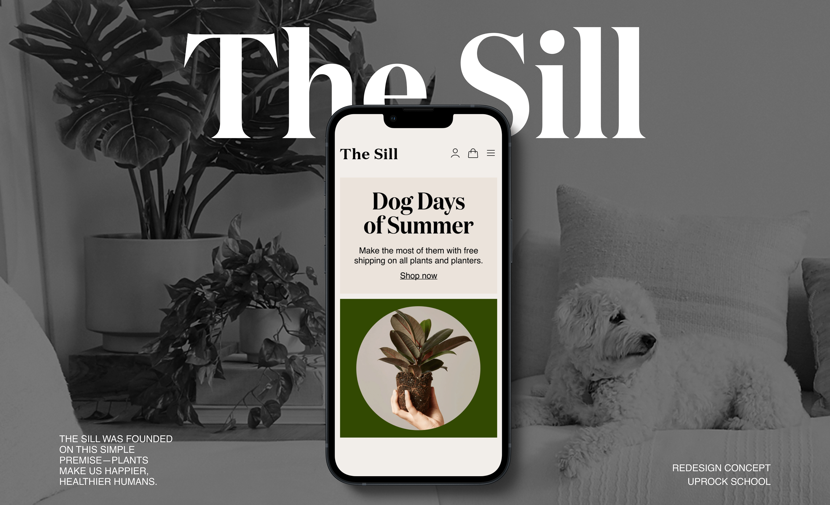 E-commerce┃The Sill — Изображение №1 — Интерфейсы на Dprofile