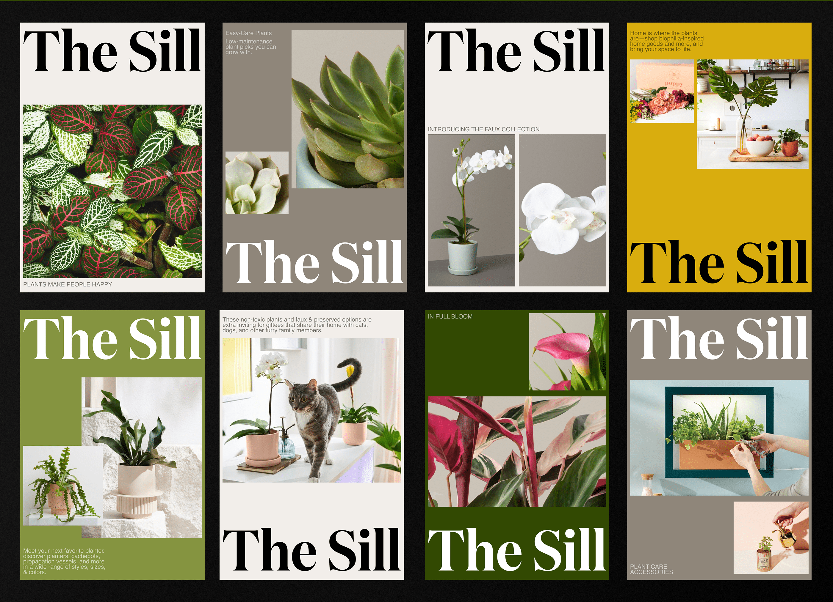 E-commerce┃The Sill — Изображение №6 — Интерфейсы на Dprofile