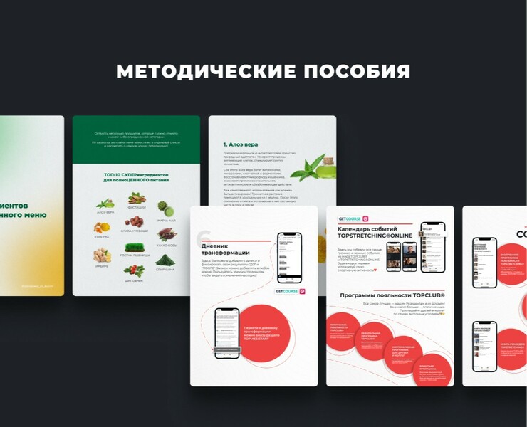 Методические пособия на Dprofile
