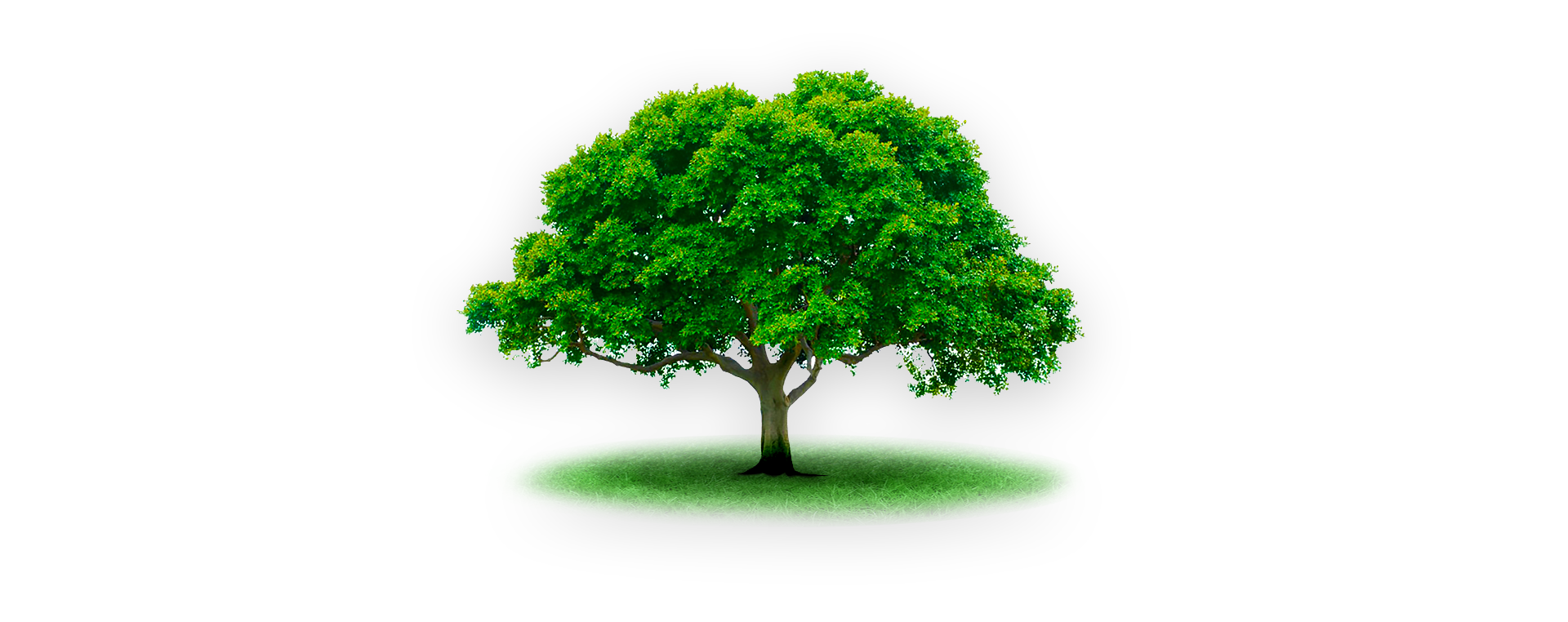 ZENI — Изображение №5 — Интерфейсы, Брендинг на Dprofile